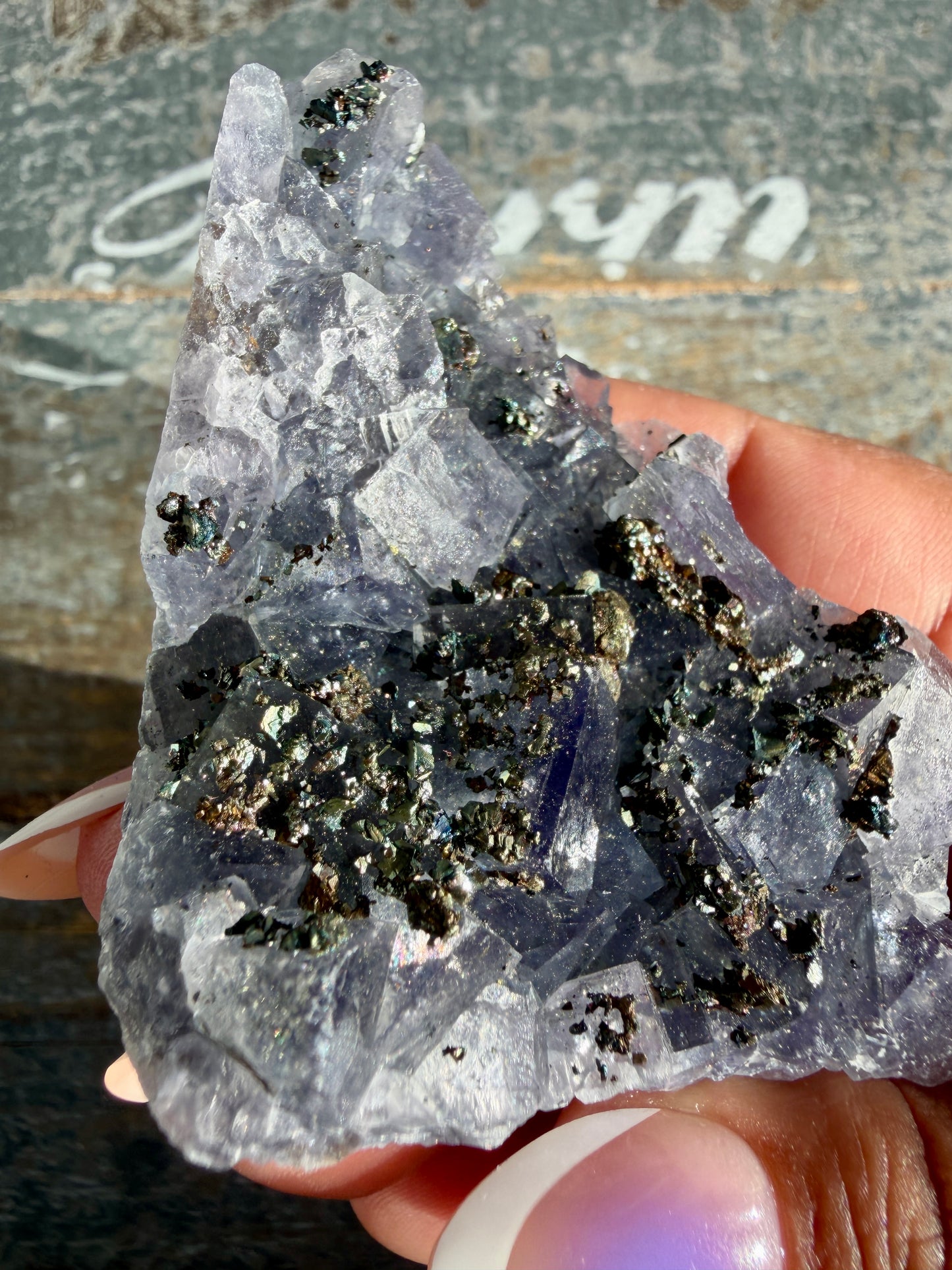 Gorgeous Cubic Dark Blue/Purple Fluorite Specimen coated in Pyrite | Opt 75
