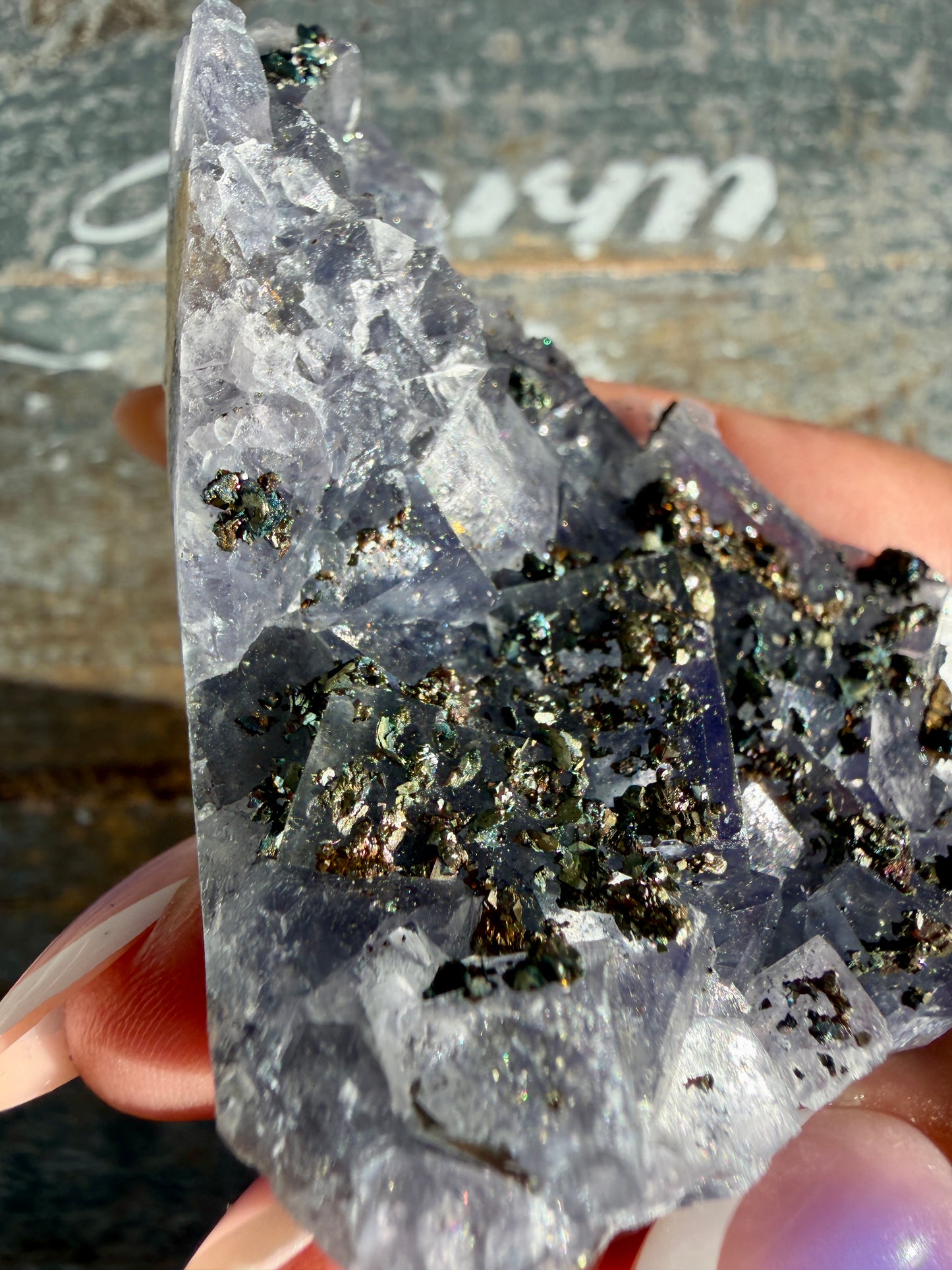 Gorgeous Cubic Dark Blue/Purple Fluorite Specimen coated in Pyrite | Opt 75