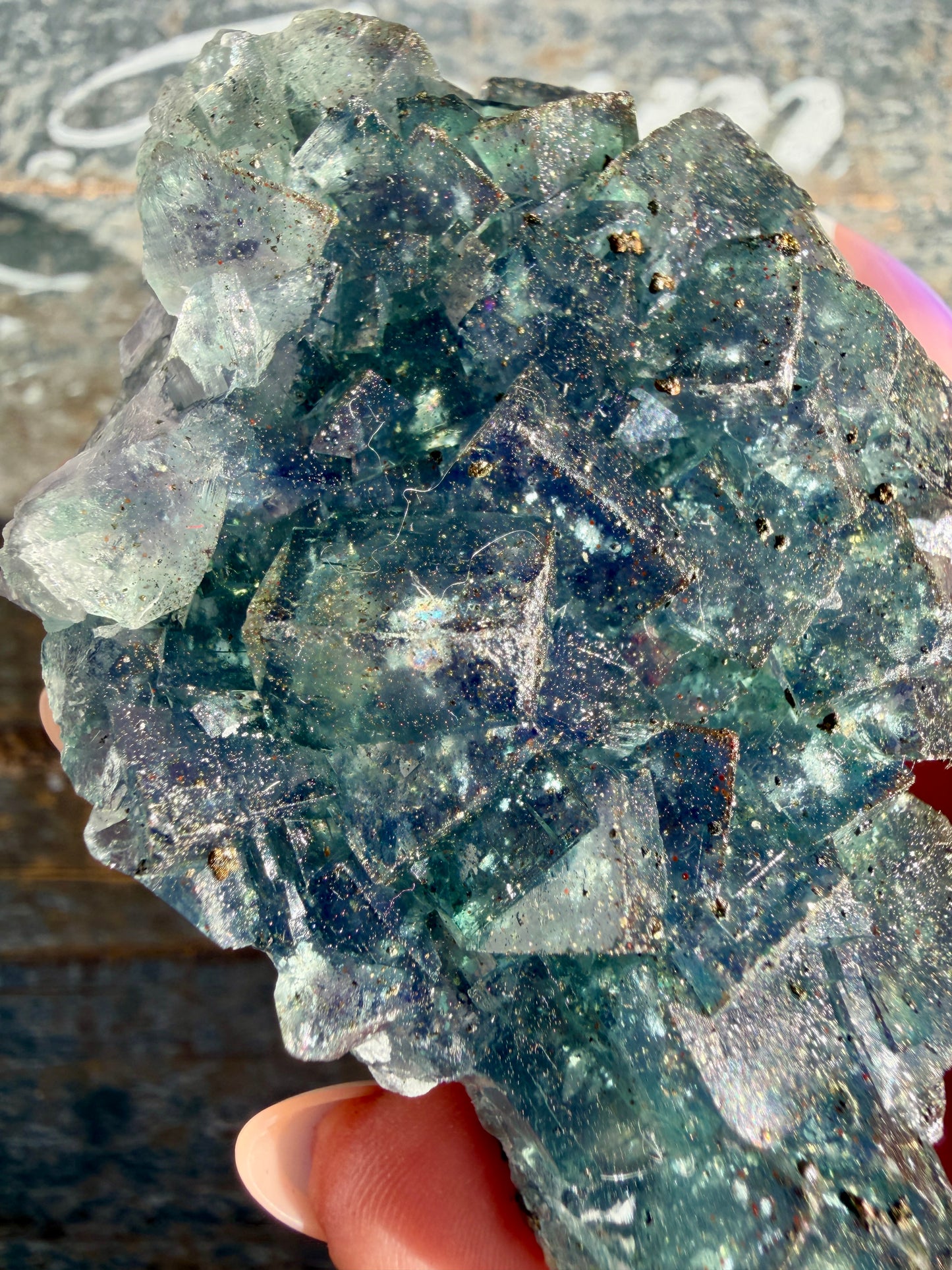 Gorgeous Cubic Dark Blue/Purple Fluorite Specimen coated in Pyrite | Opt 73