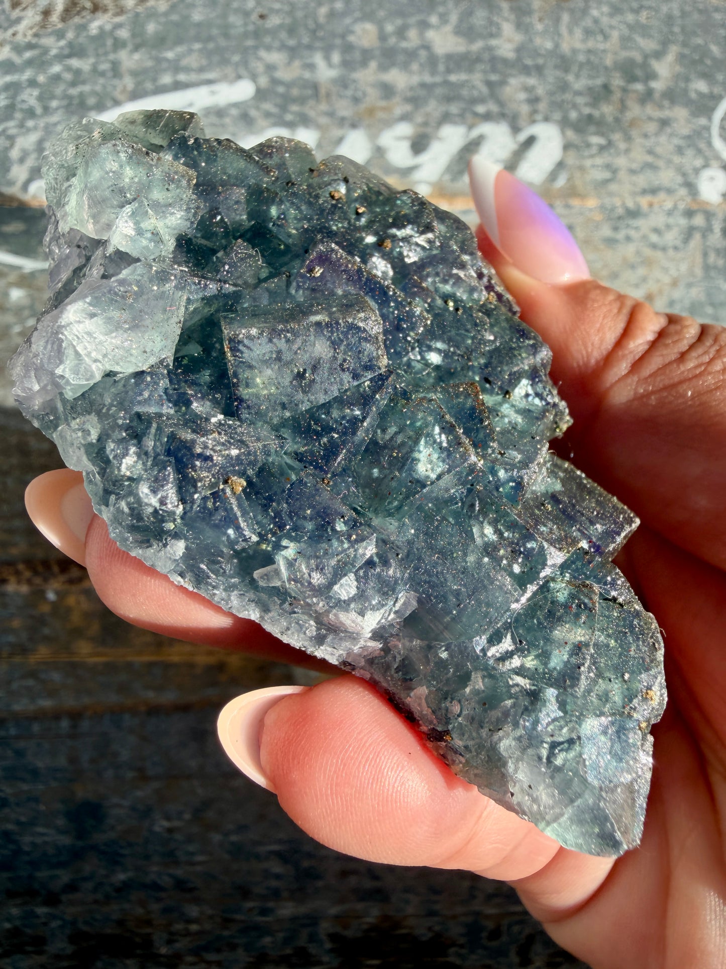 Gorgeous Cubic Dark Blue/Purple Fluorite Specimen coated in Pyrite | Opt 73
