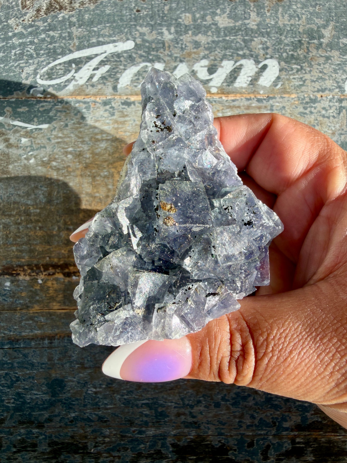 Gorgeous Cubic Dark Blue/Purple Fluorite Specimen coated in Pyrite | Opt 66