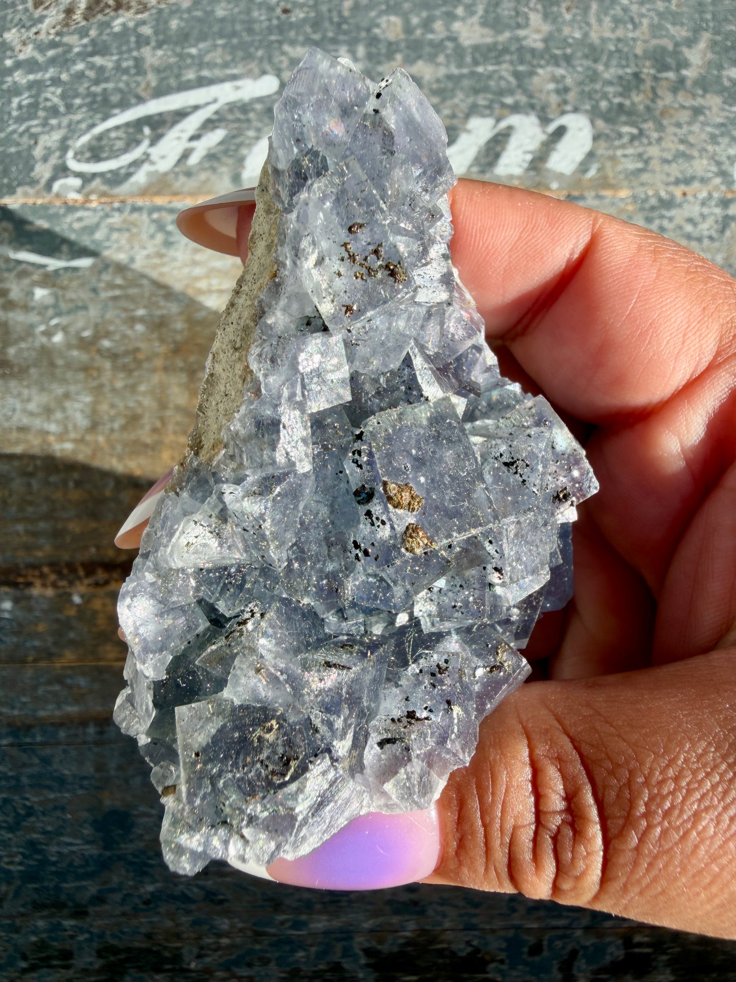 Gorgeous Cubic Dark Blue/Purple Fluorite Specimen coated in Pyrite | Opt 66
