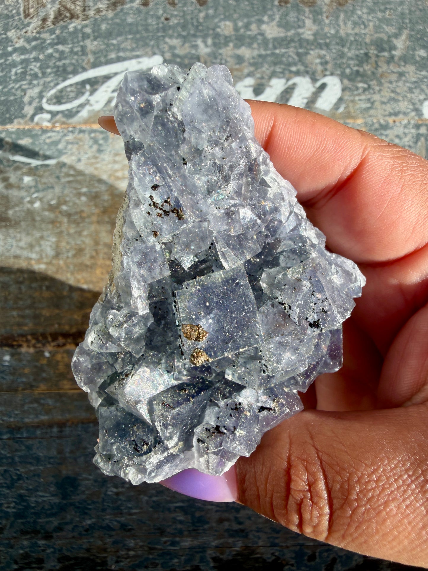 Gorgeous Cubic Dark Blue/Purple Fluorite Specimen coated in Pyrite | Opt 66