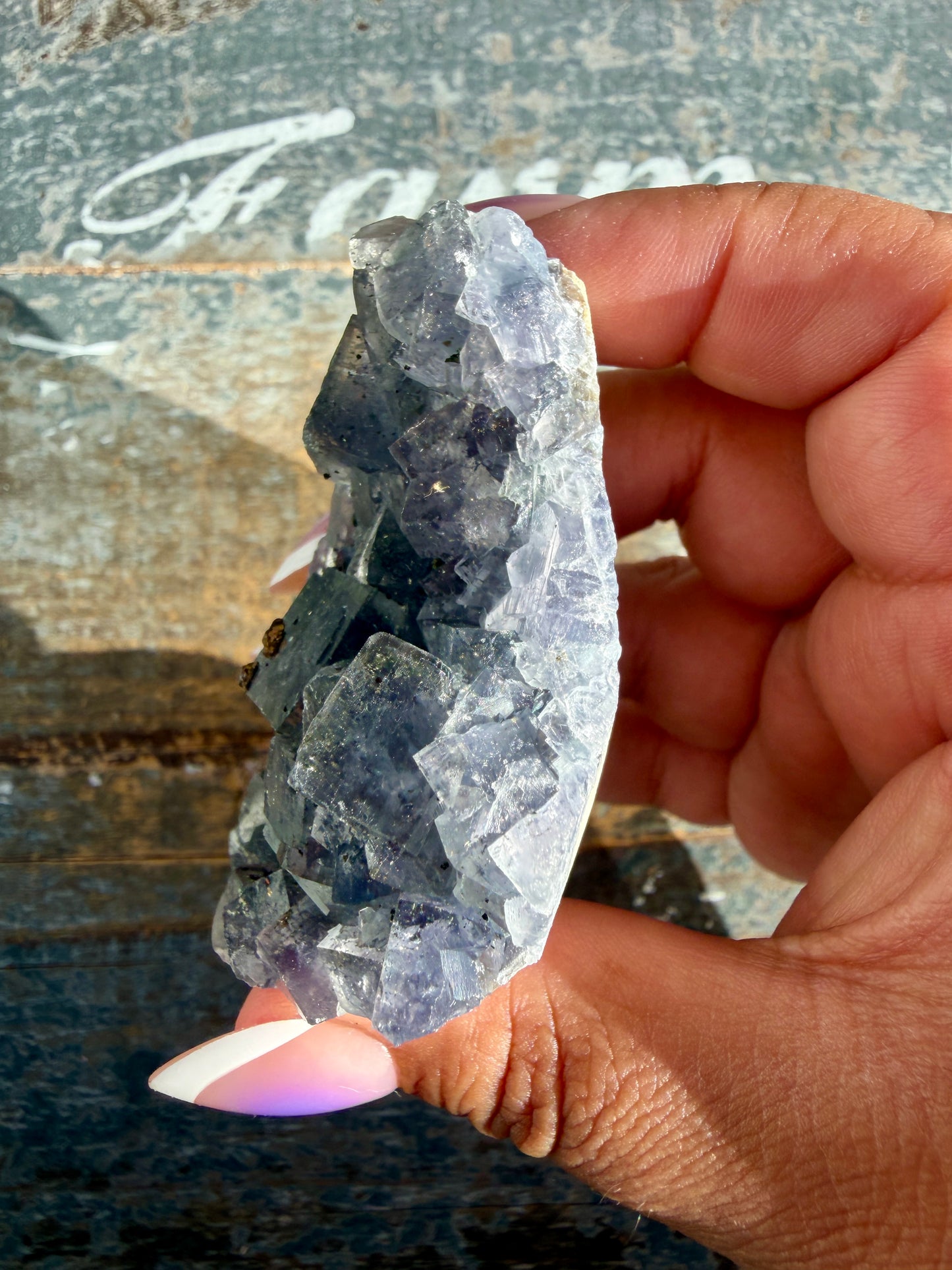 Gorgeous Cubic Dark Blue/Purple Fluorite Specimen coated in Pyrite | Opt 66