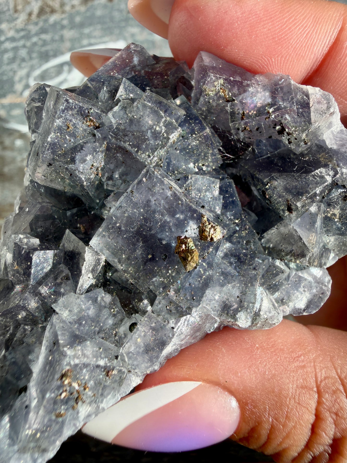 Gorgeous Cubic Dark Blue/Purple Fluorite Specimen coated in Pyrite | Opt 66