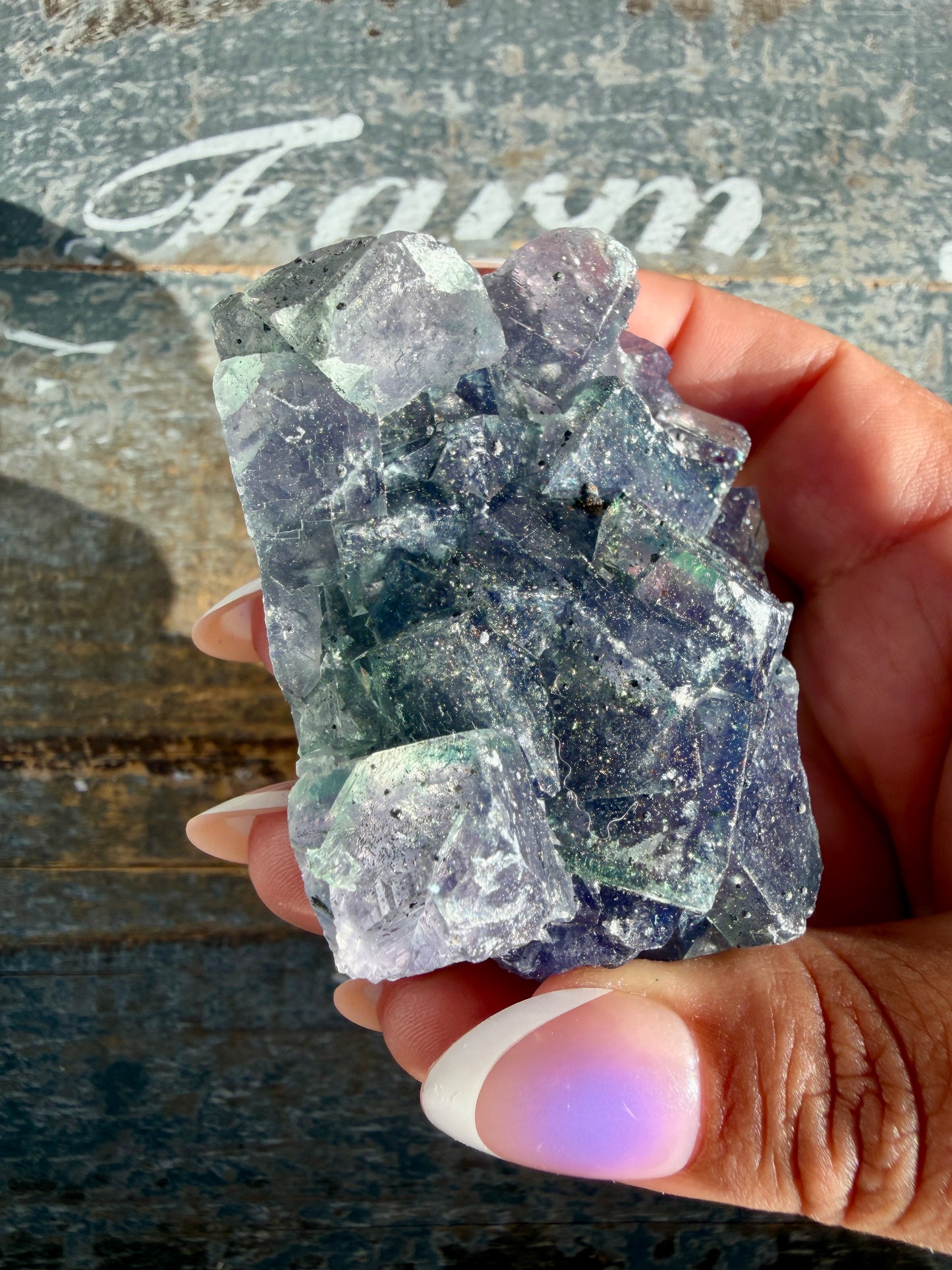 Gorgeous Cubic Dark Blue/Purple Fluorite Specimen coated in Pyrite | Opt 74