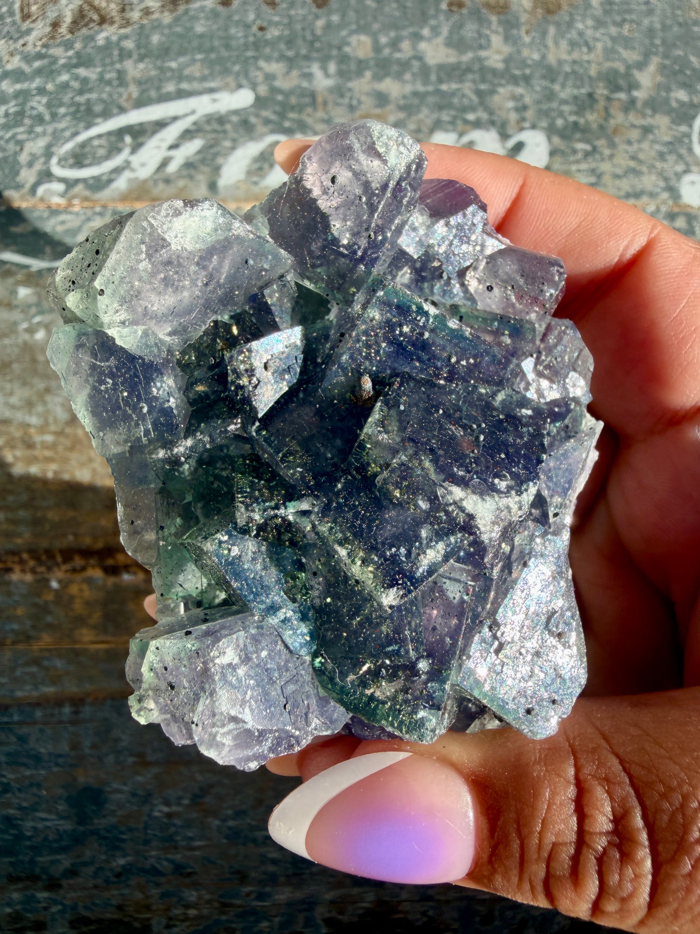 Gorgeous Cubic Dark Blue/Purple Fluorite Specimen coated in Pyrite | Opt 74