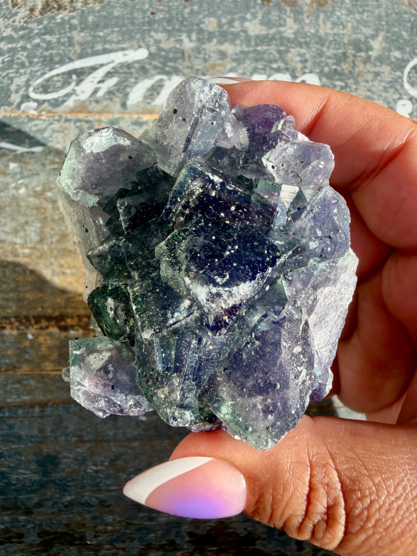 Gorgeous Cubic Dark Blue/Purple Fluorite Specimen coated in Pyrite | Opt 74