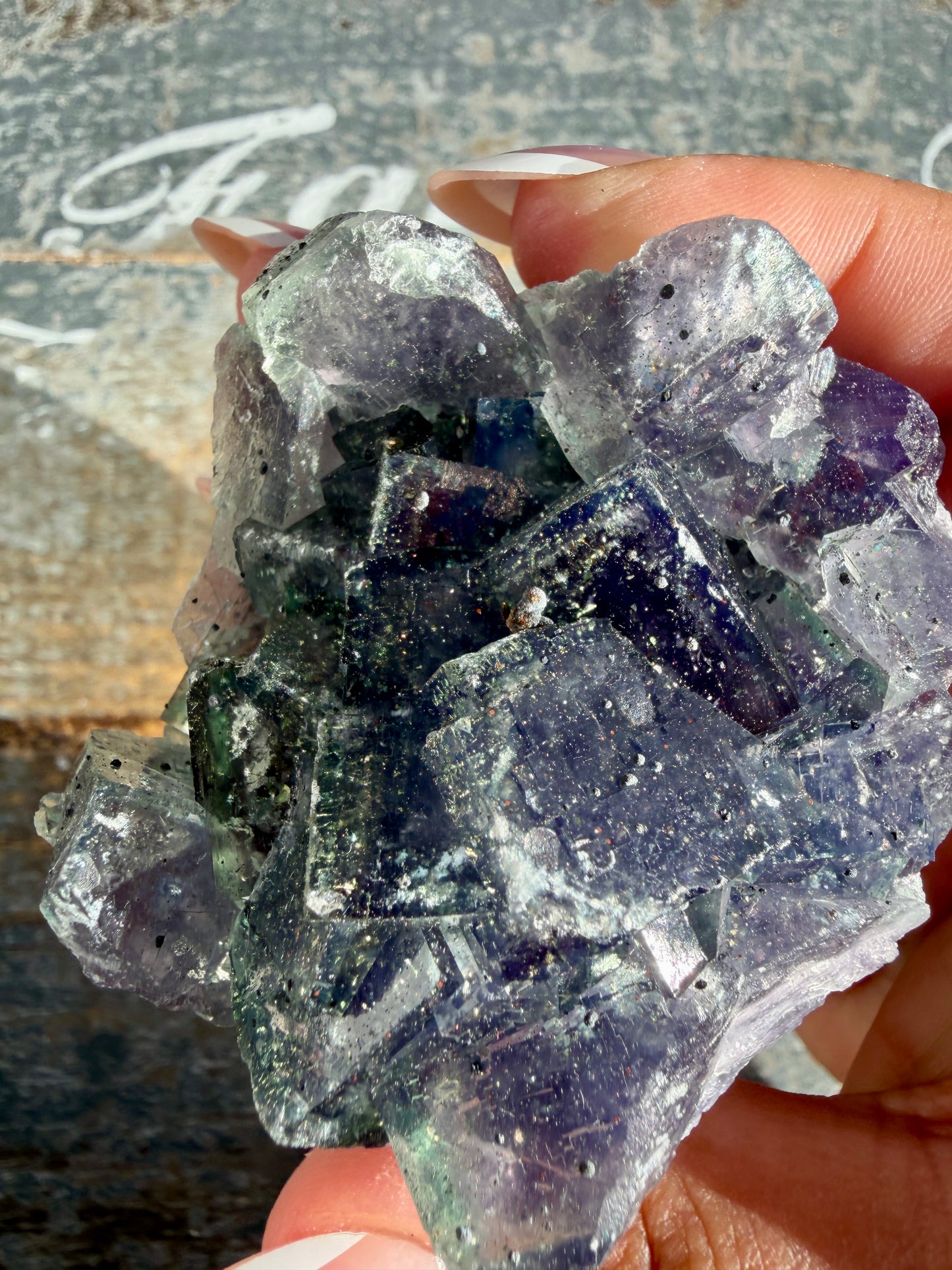 Gorgeous Cubic Dark Blue/Purple Fluorite Specimen coated in Pyrite | Opt 74