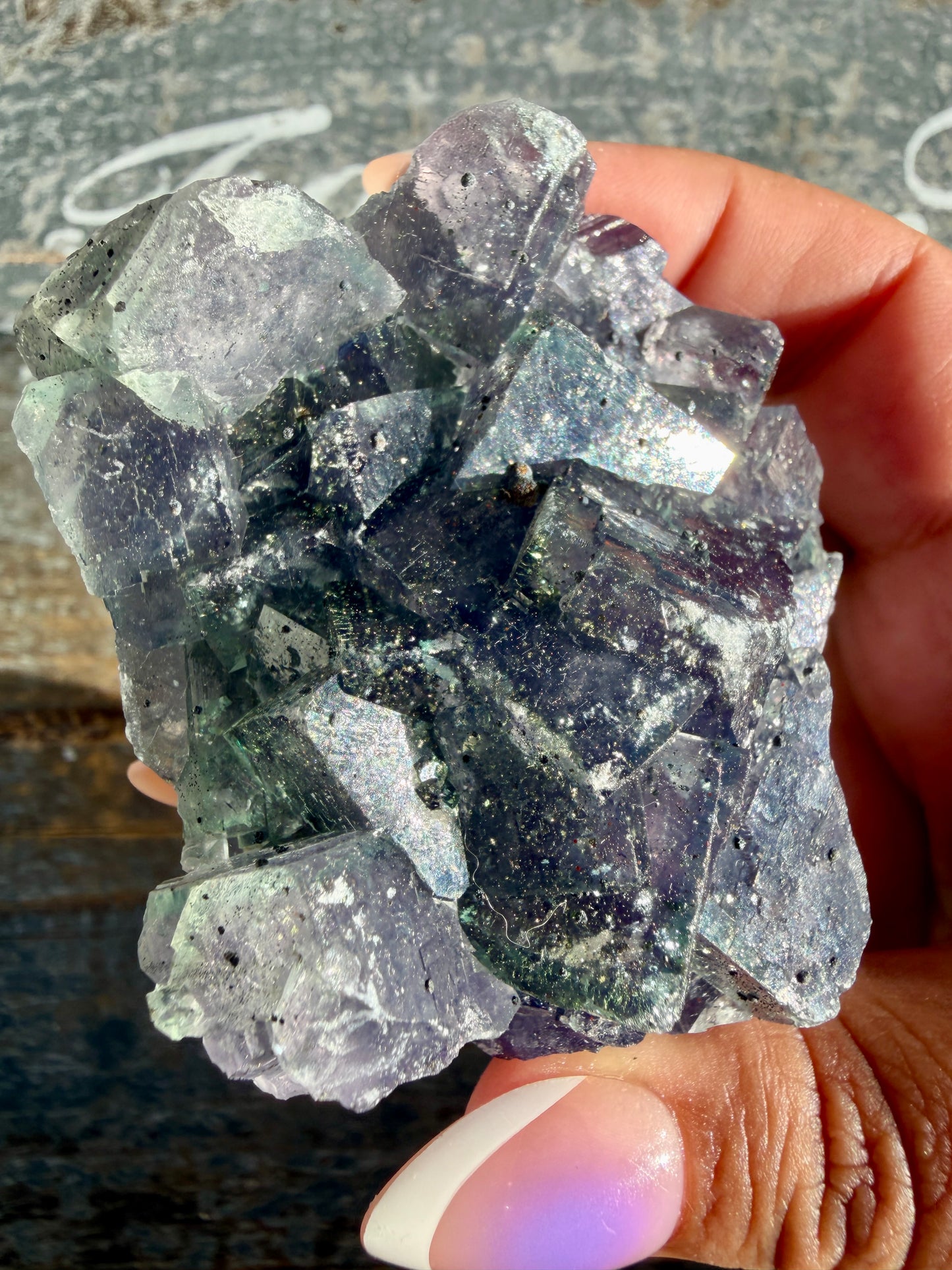 Gorgeous Cubic Dark Blue/Purple Fluorite Specimen coated in Pyrite | Opt 74