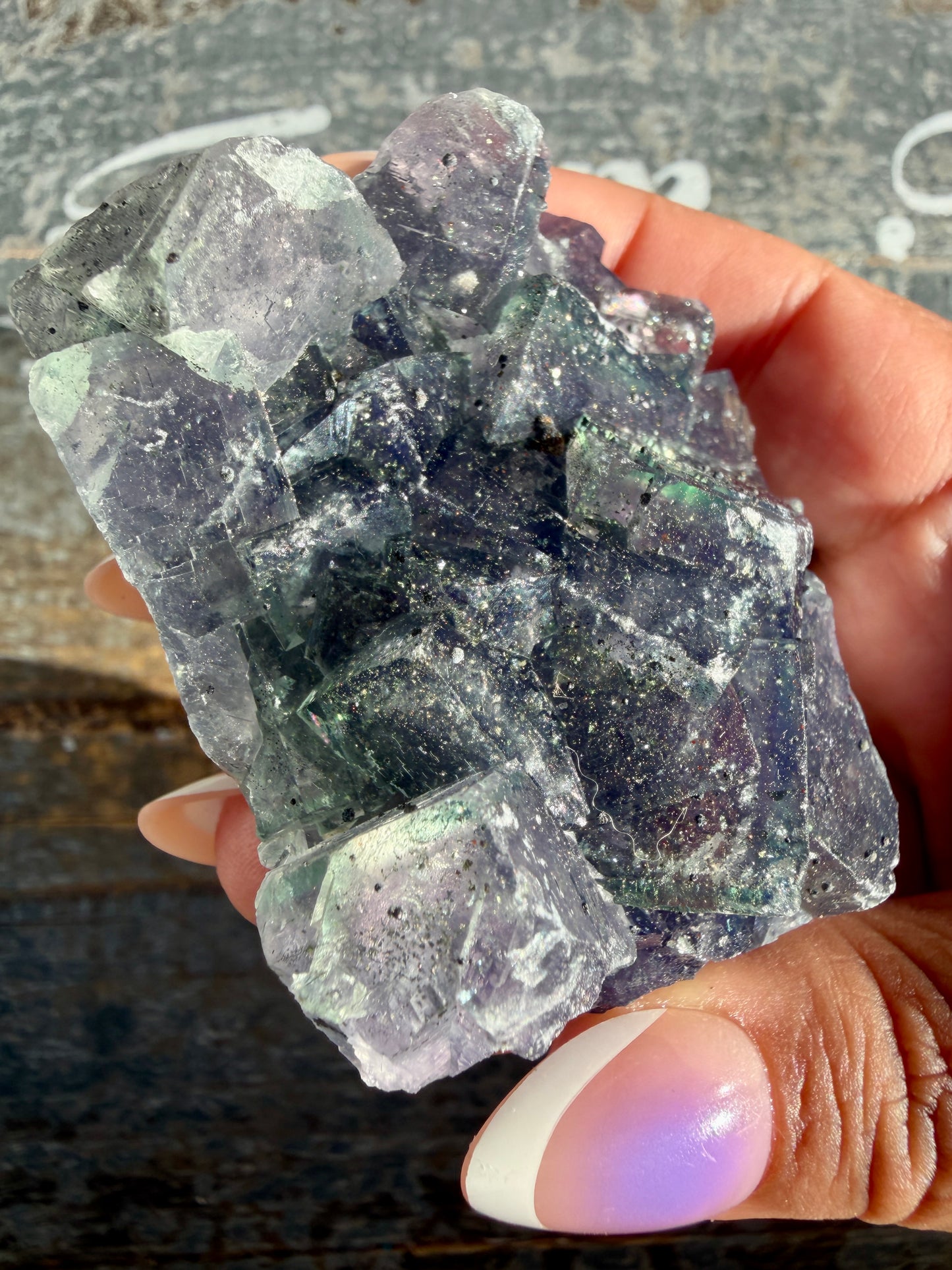 Gorgeous Cubic Dark Blue/Purple Fluorite Specimen coated in Pyrite | Opt 74
