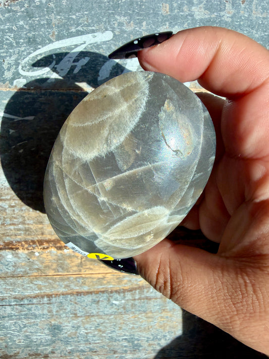 Gorgeous Black Moonstone Palm Stone from Madagascar | Opt V
