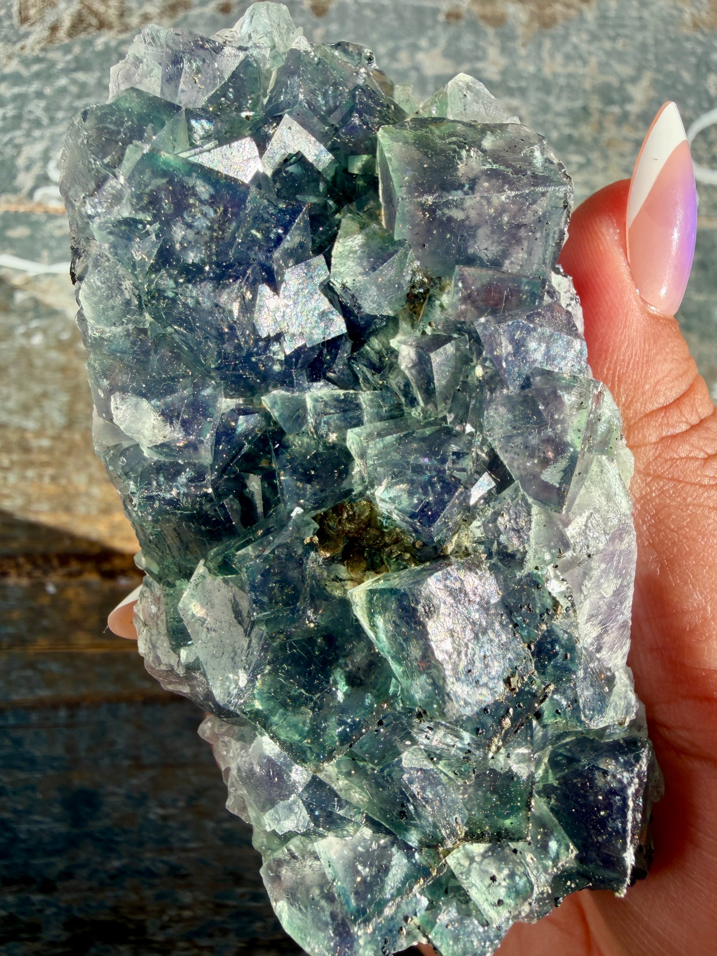 Gorgeous Cubic Dark Blue/Purple Fluorite Specimen coated in Pyrite | Opt 65