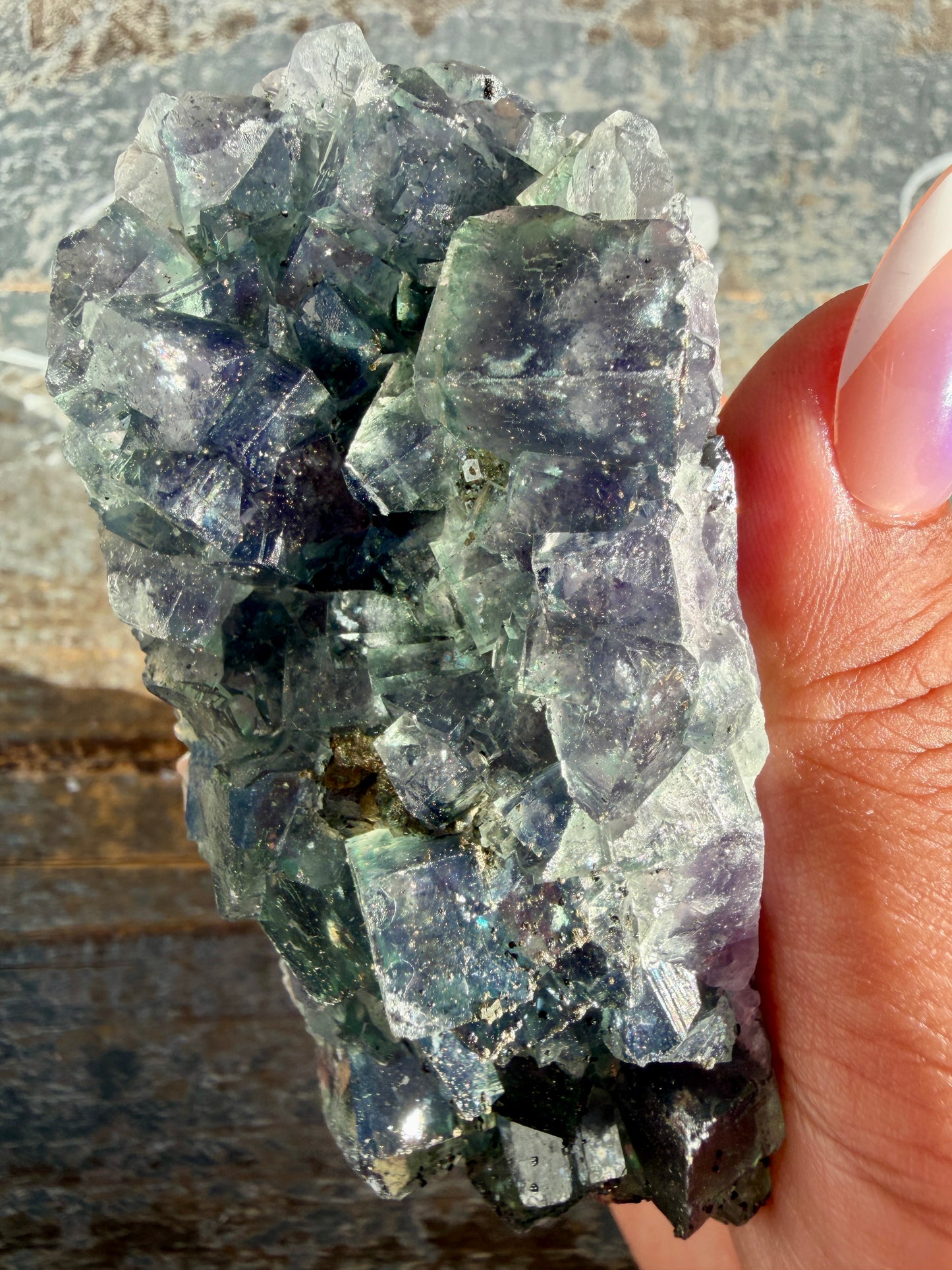 Gorgeous Cubic Dark Blue/Purple Fluorite Specimen coated in Pyrite | Opt 65