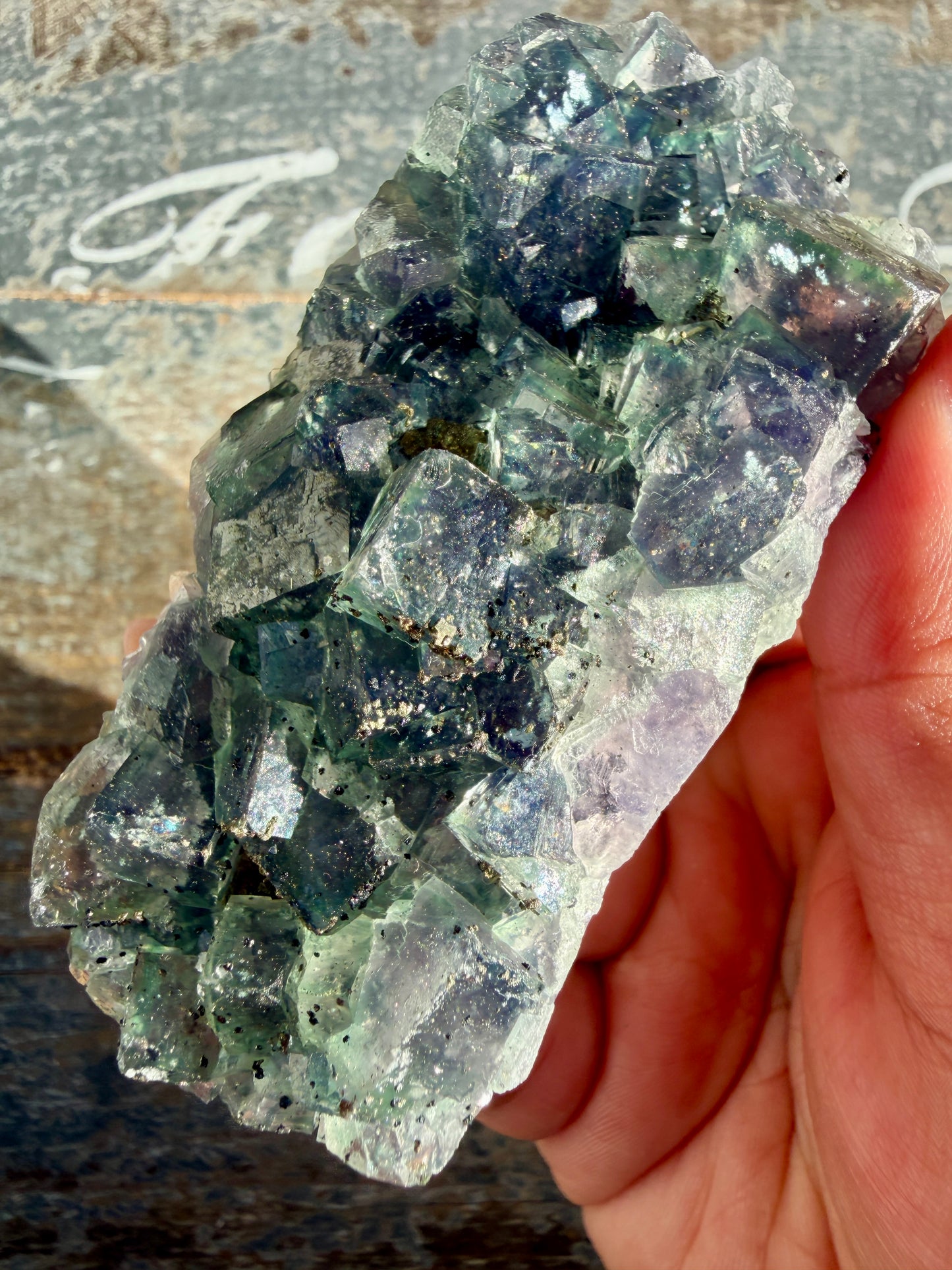 Gorgeous Cubic Dark Blue/Purple Fluorite Specimen coated in Pyrite | Opt 65