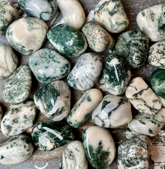 One (1) Gorgeous Tree Agate Tumble