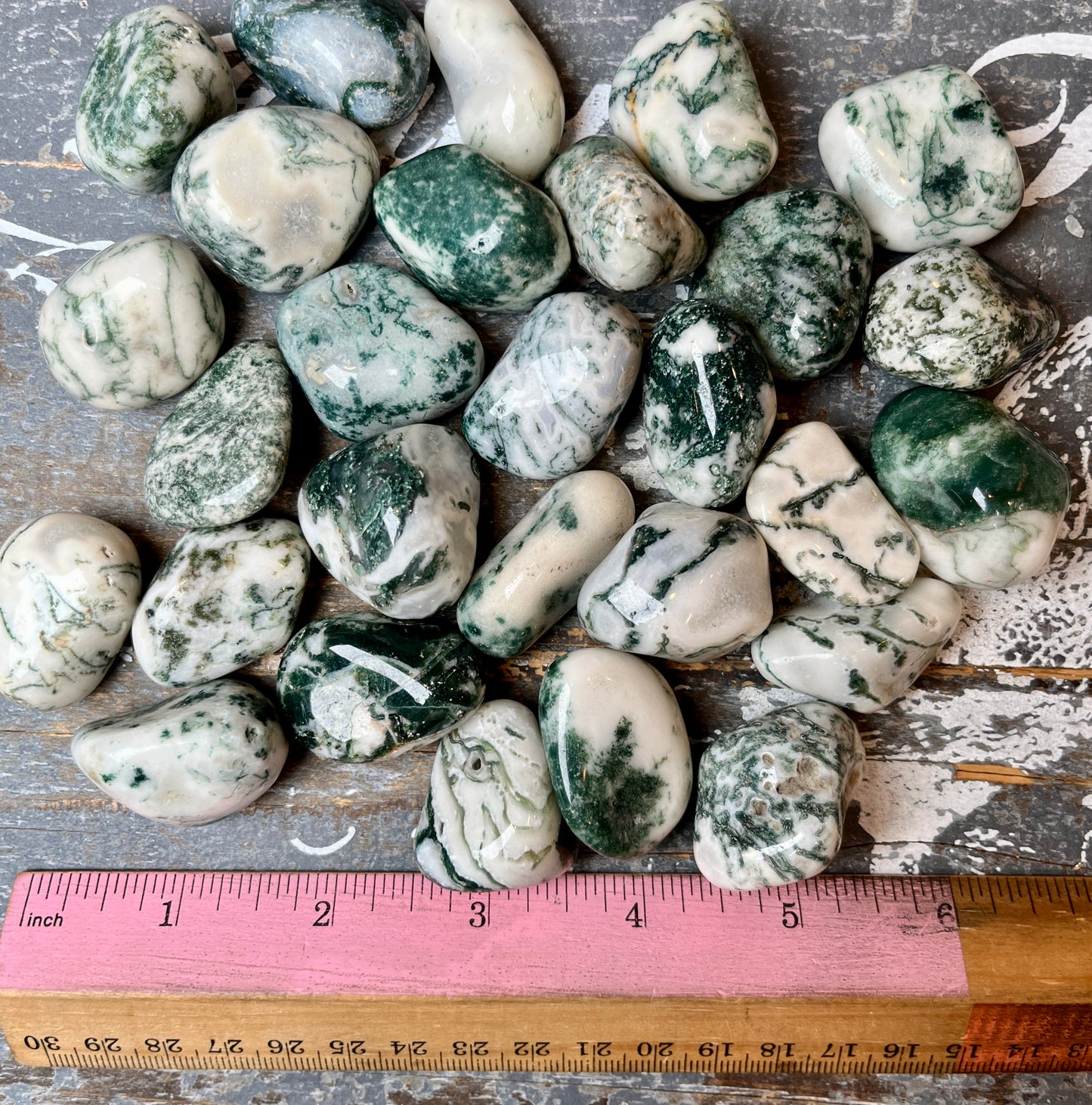 One (1) Gorgeous Tree Agate Tumble