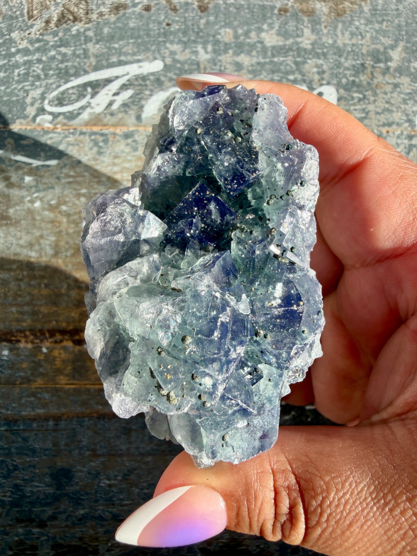 Gorgeous Cubic Dark Blue/Purple Fluorite Specimen coated in Pyrite | Opt 67