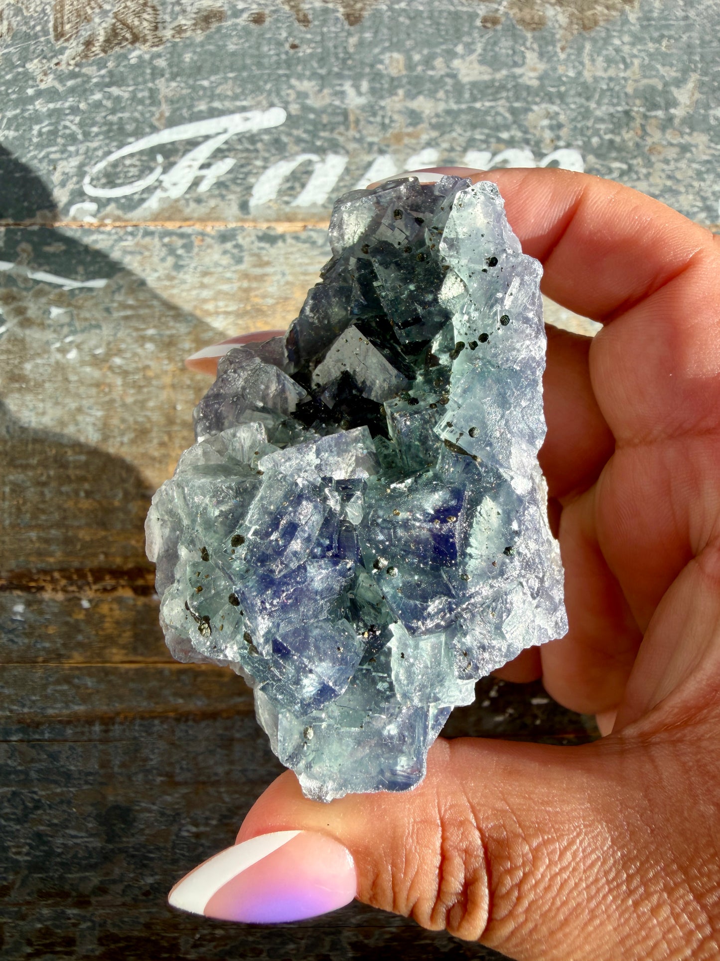 Gorgeous Cubic Dark Blue/Purple Fluorite Specimen coated in Pyrite | Opt 67