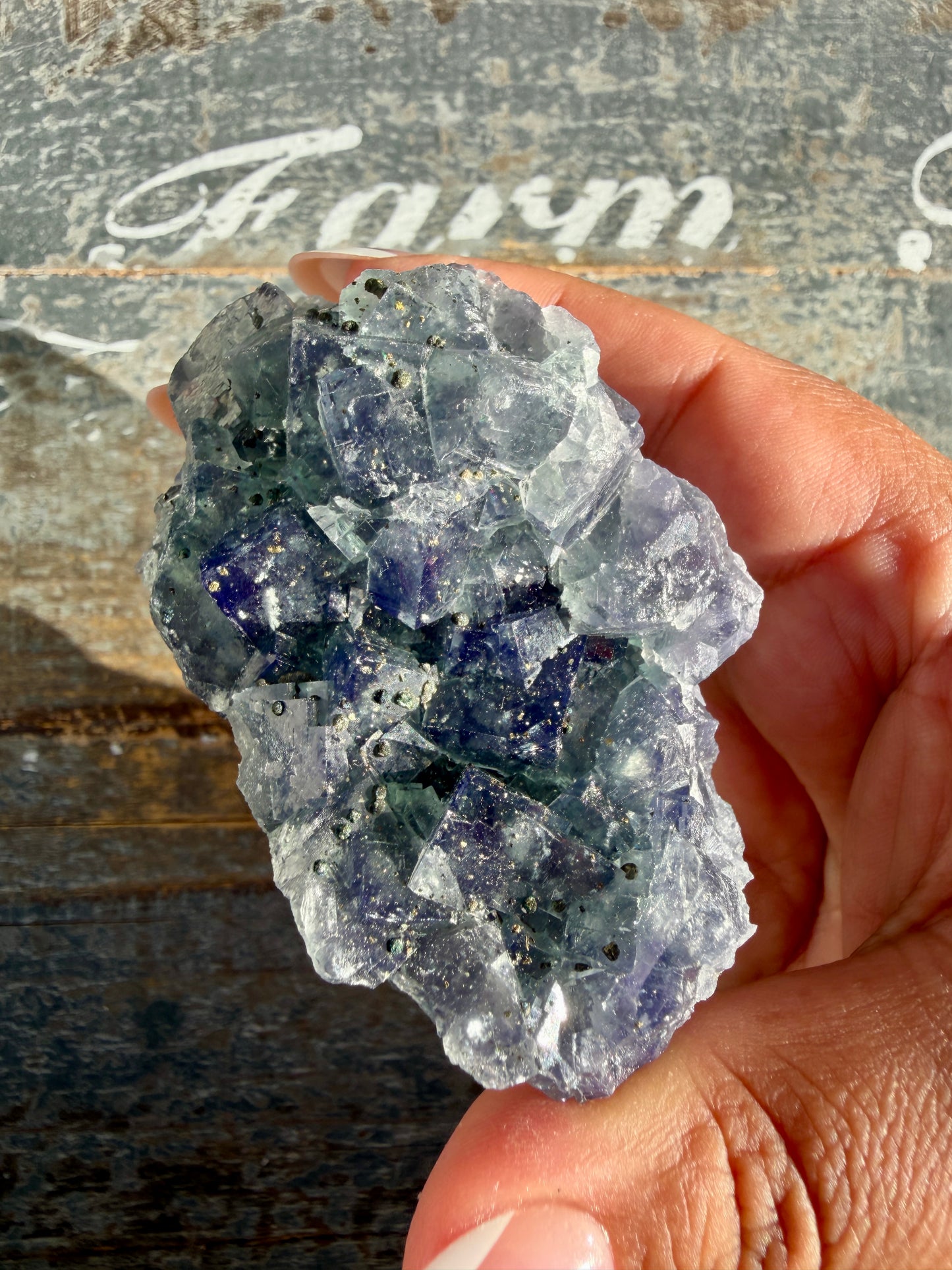 Gorgeous Cubic Dark Blue/Purple Fluorite Specimen coated in Pyrite | Opt 67