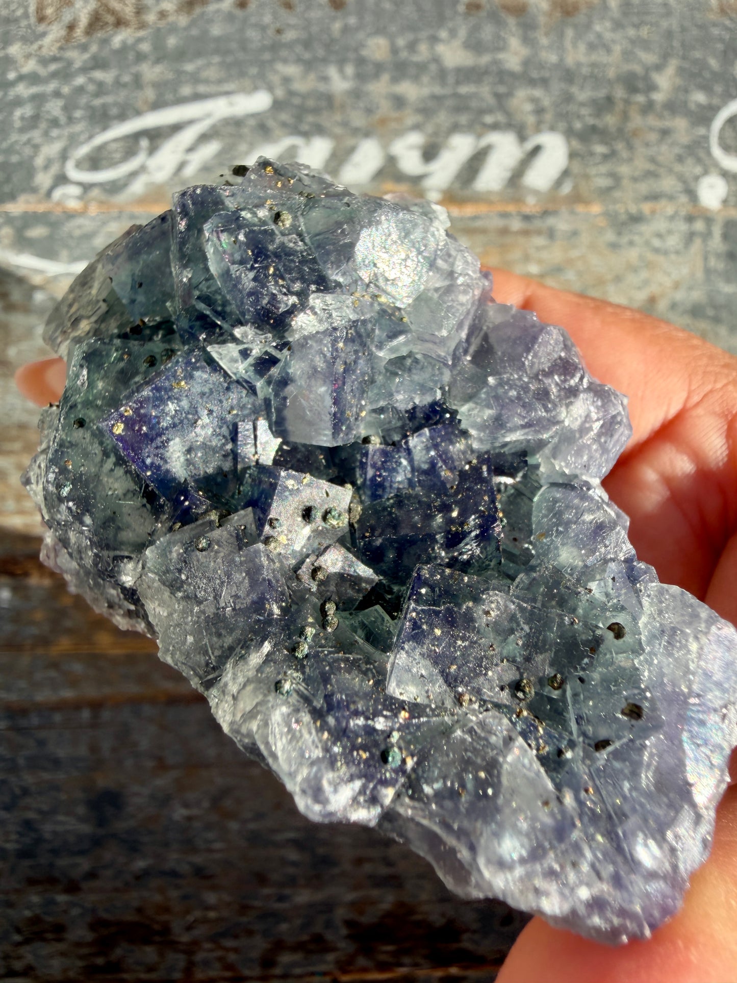 Gorgeous Cubic Dark Blue/Purple Fluorite Specimen coated in Pyrite | Opt 67