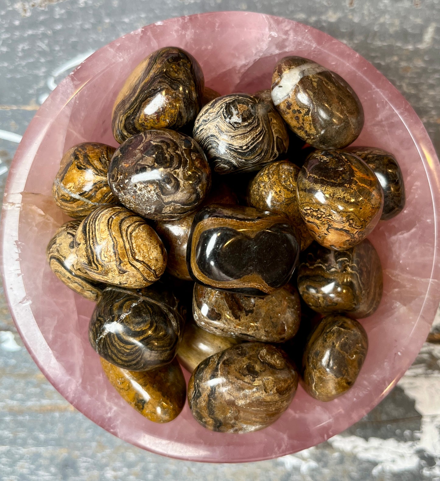 One (1) Gorgeous Stromatolite Tumble