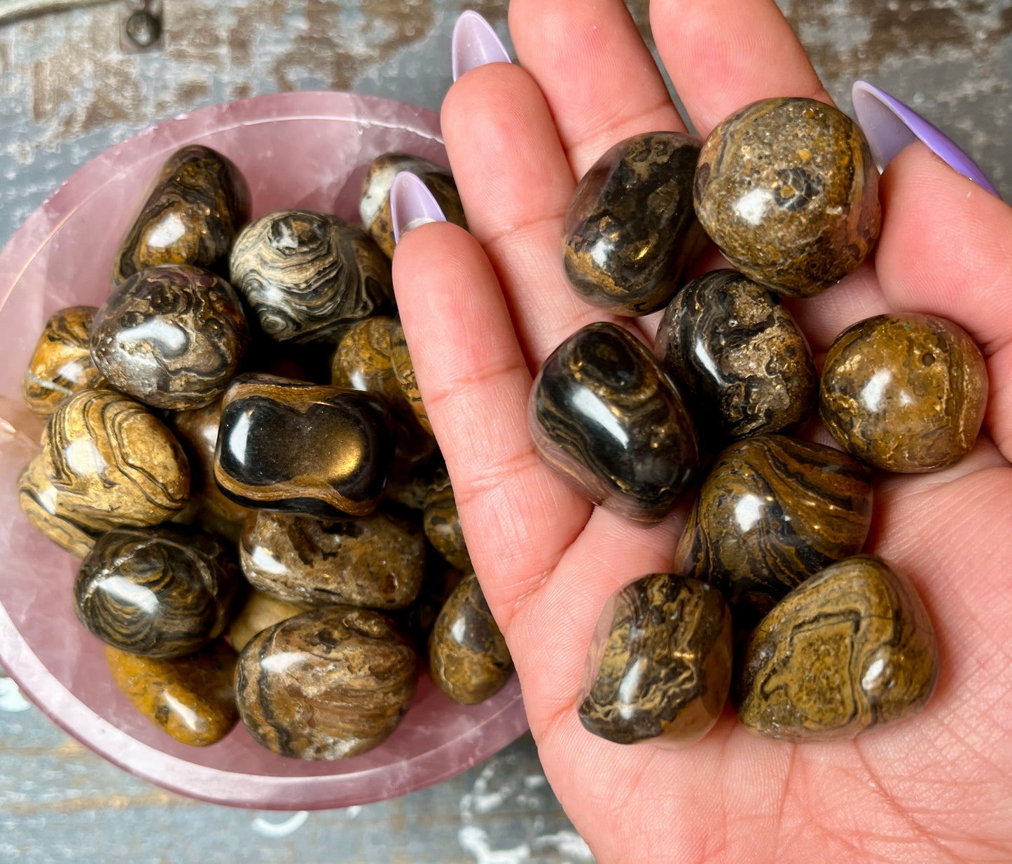 One (1) Gorgeous Stromatolite Tumble