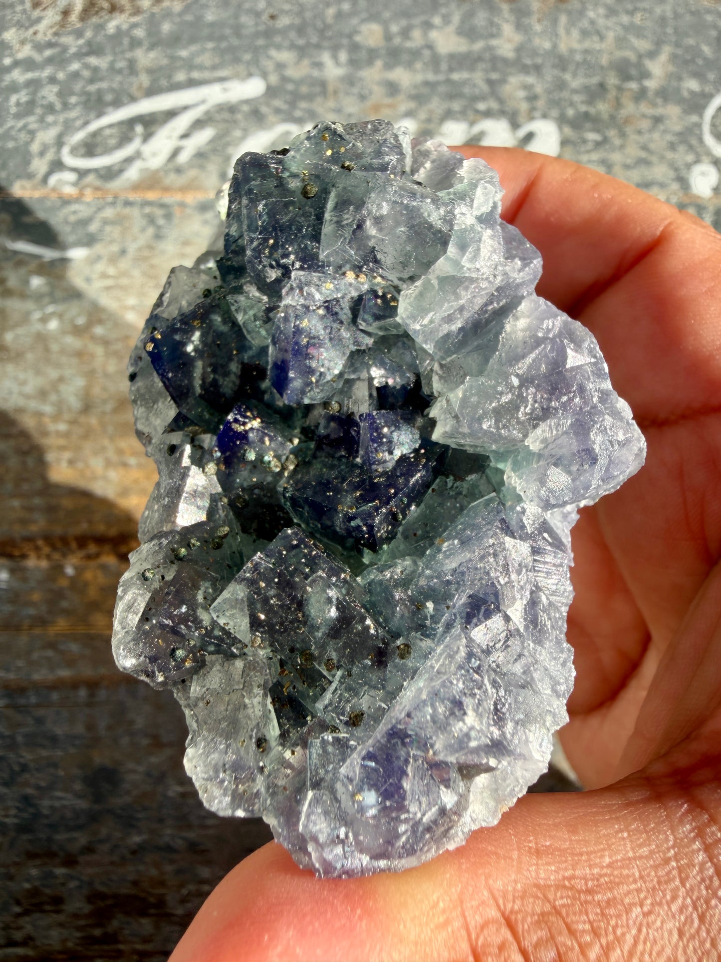 Gorgeous Cubic Dark Blue/Purple Fluorite Specimen coated in Pyrite | Opt 67
