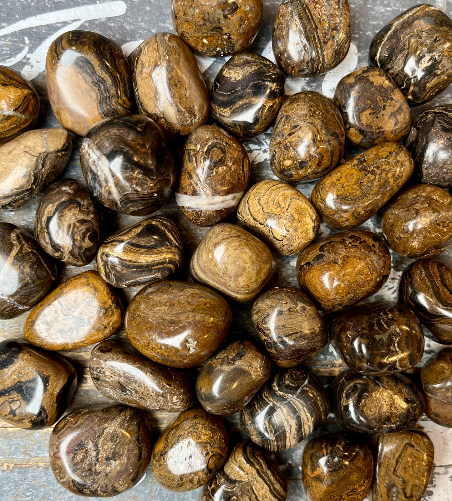 One (1) Gorgeous Stromatolite Tumble