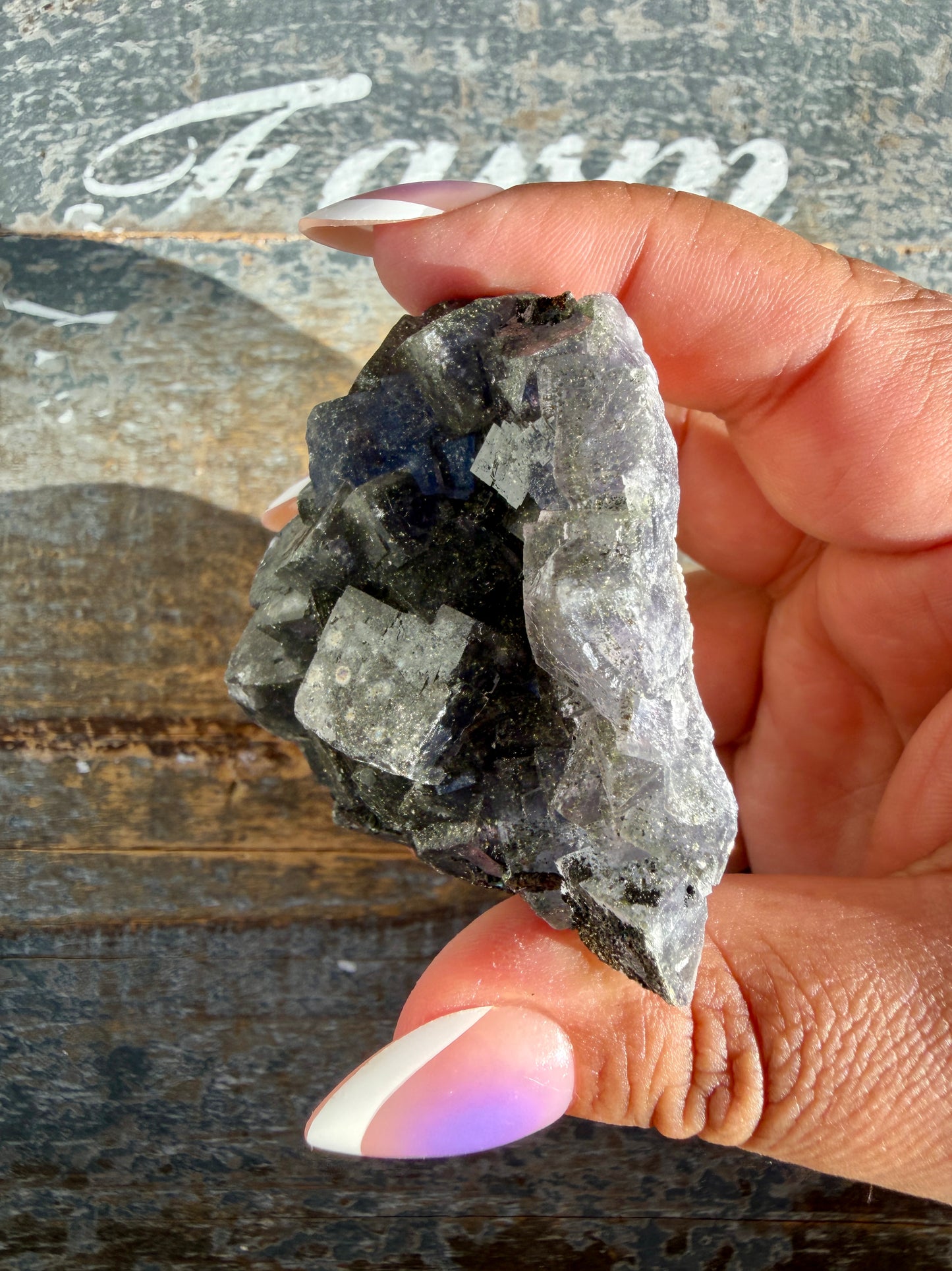 Gorgeous Cubic Dark Blue/Purple Fluorite Specimen coated in Pyrite | Opt 62
