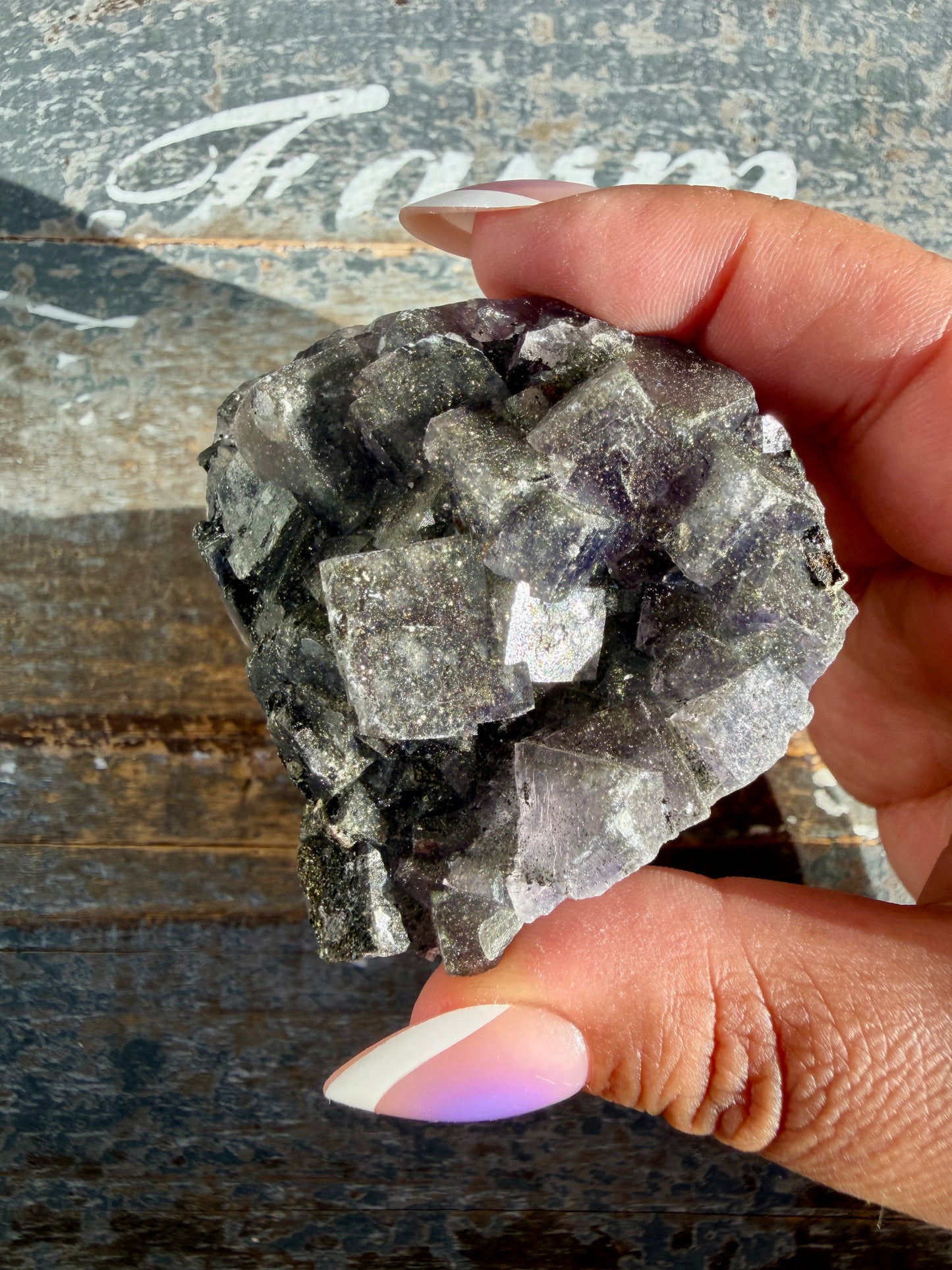 Gorgeous Cubic Dark Blue/Purple Fluorite Specimen coated in Pyrite | Opt 62