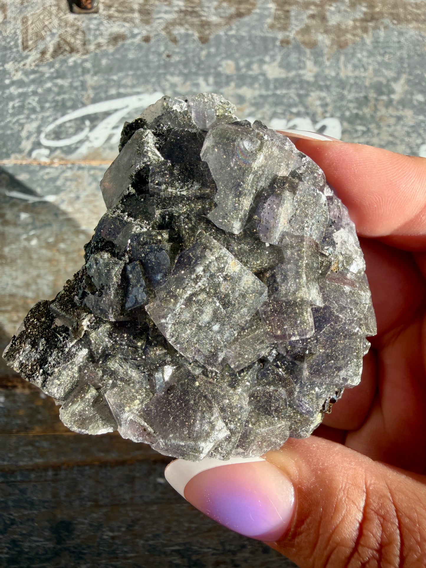 Gorgeous Cubic Dark Blue/Purple Fluorite Specimen coated in Pyrite | Opt 62