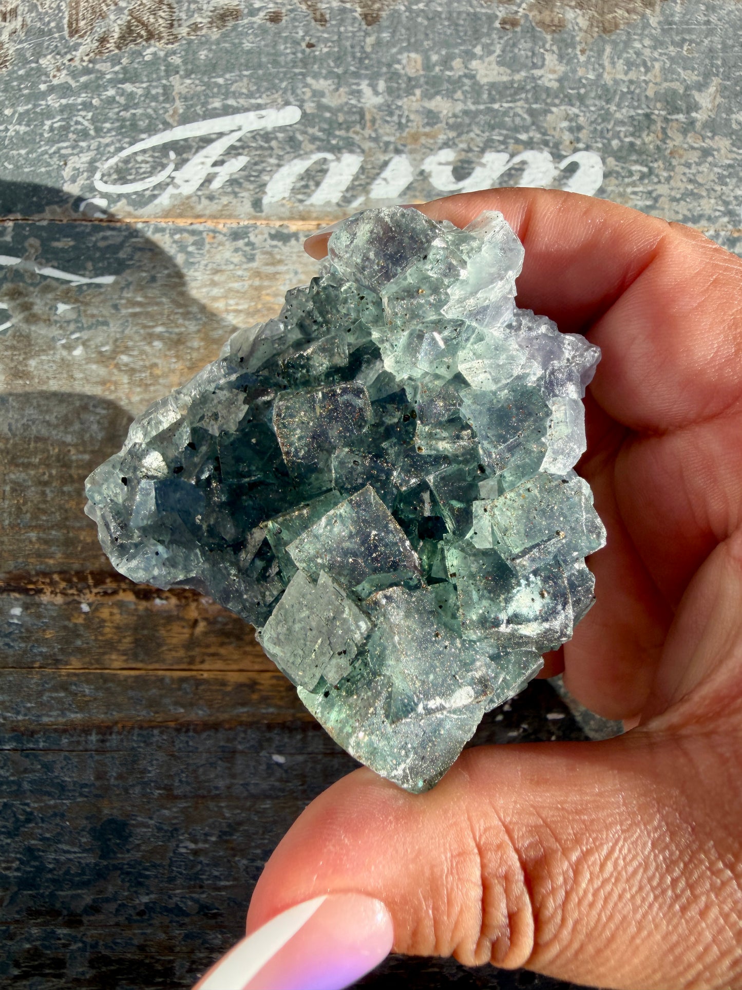 Gorgeous Cubic Dark Blue/Purple Fluorite Specimen coated in Pyrite | Opt 69