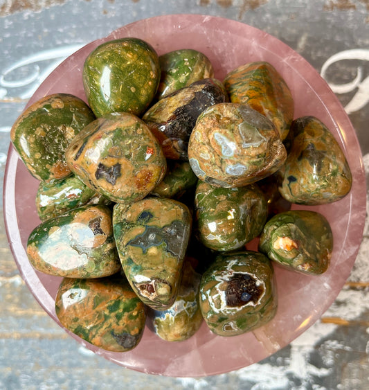 One (1) Gorgeous Rainforest Jasper (Rhyolite)