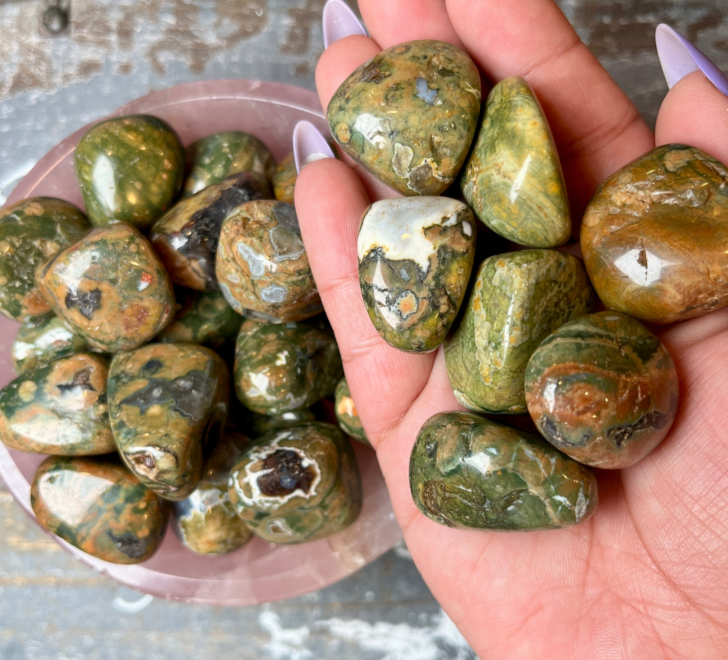 One (1) Gorgeous Rainforest Jasper (Rhyolite)