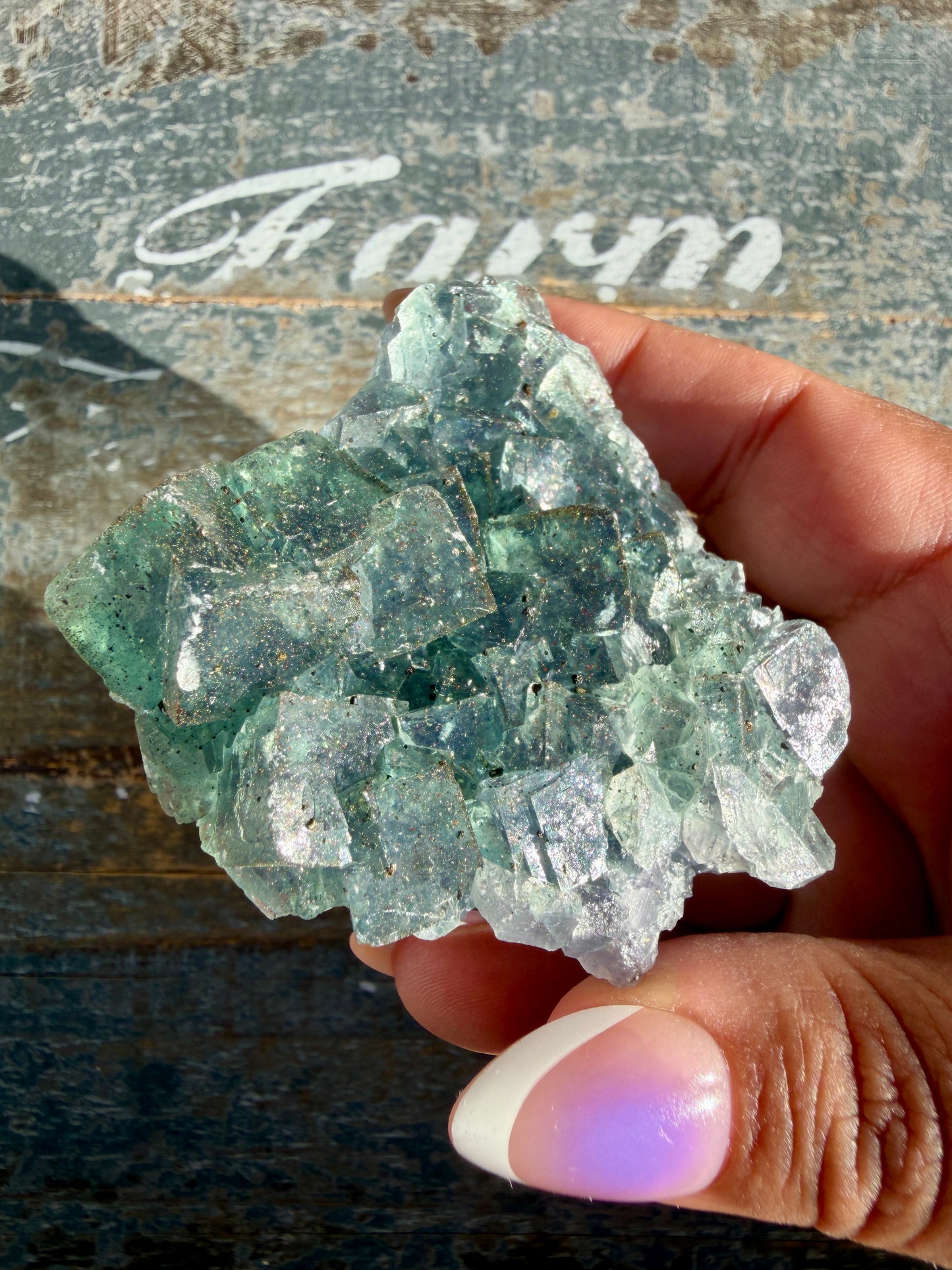 Gorgeous Cubic Dark Blue/Purple Fluorite Specimen coated in Pyrite | Opt 69