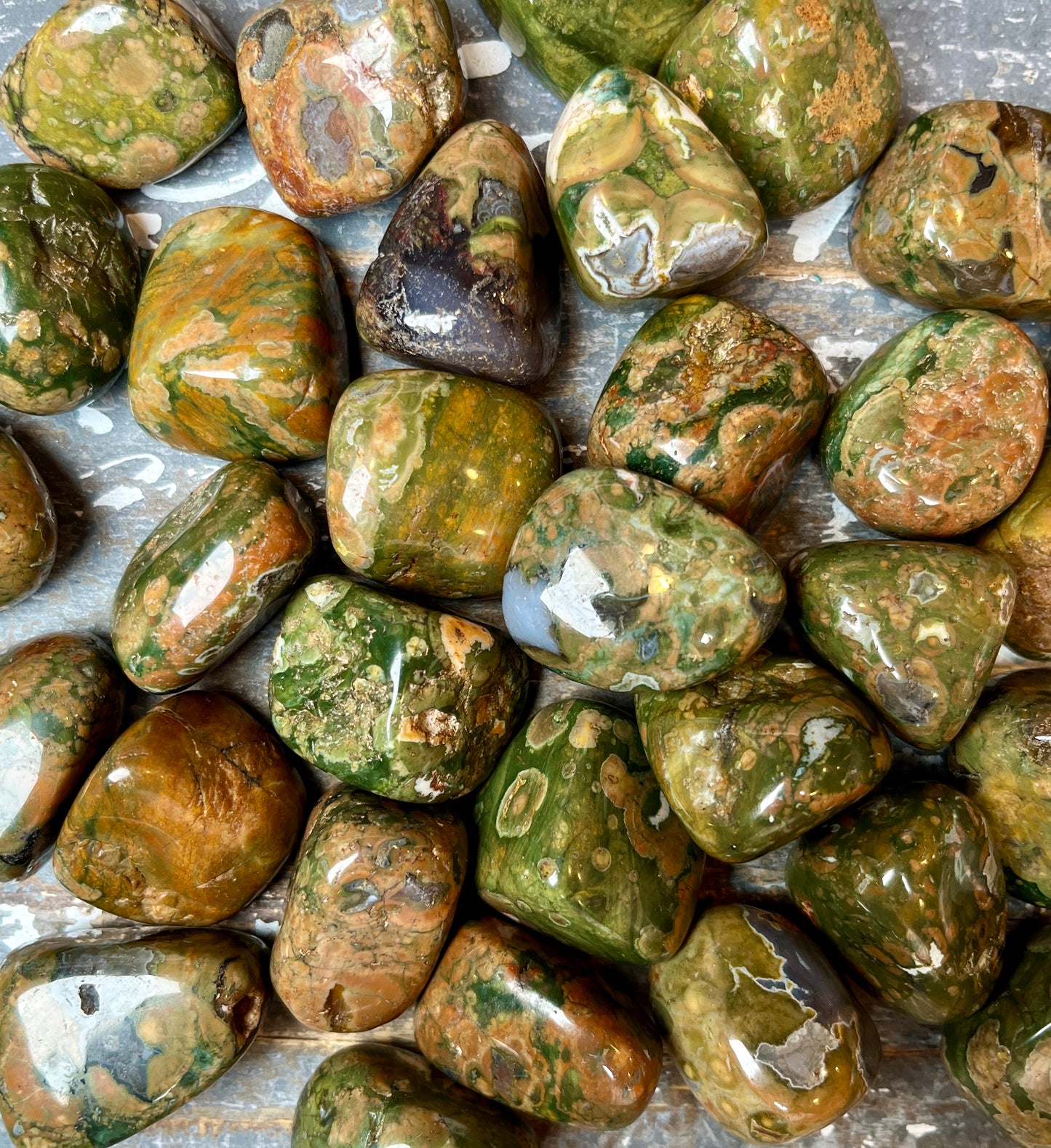 One (1) Gorgeous Rainforest Jasper (Rhyolite)