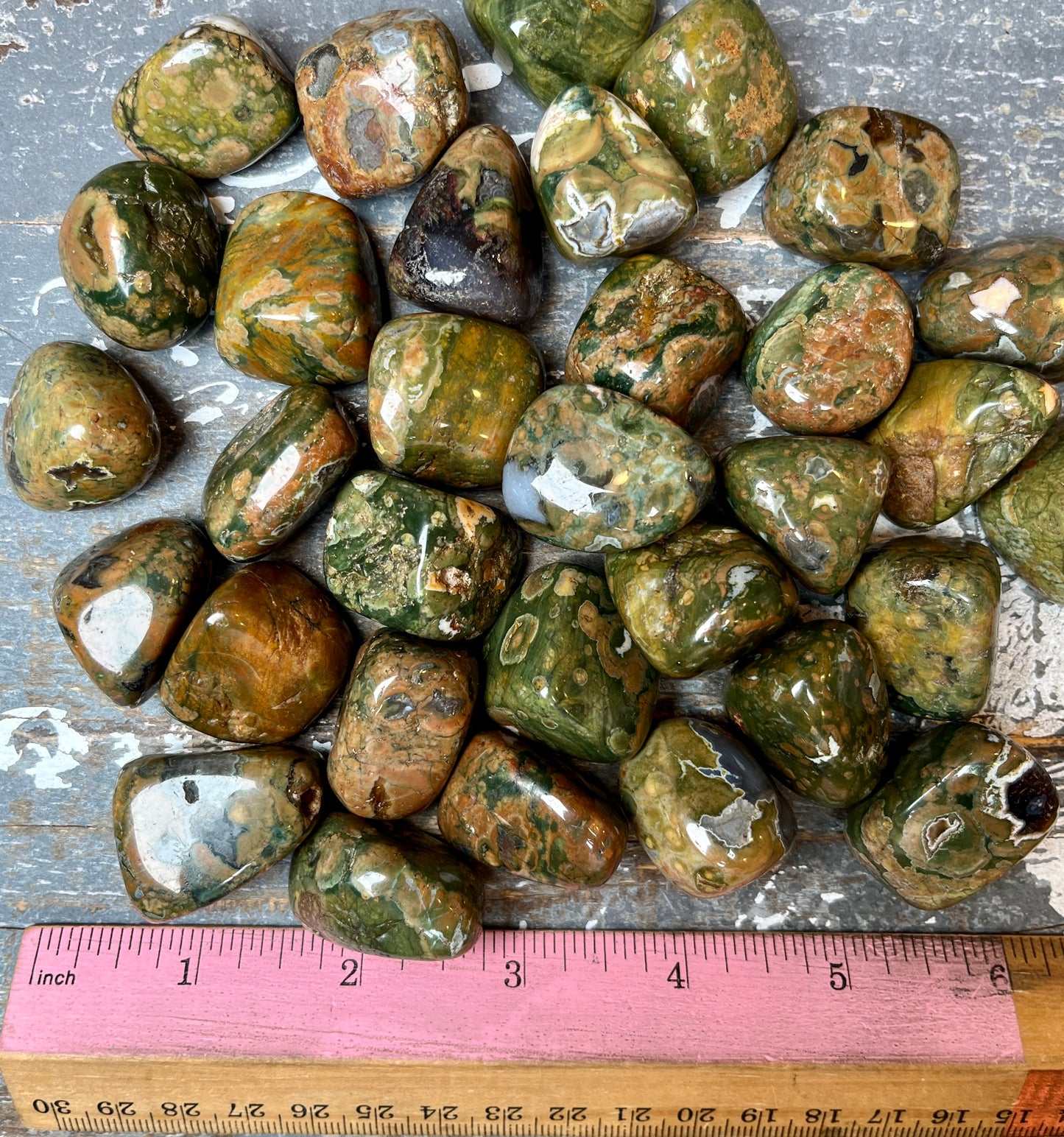 One (1) Gorgeous Rainforest Jasper (Rhyolite)