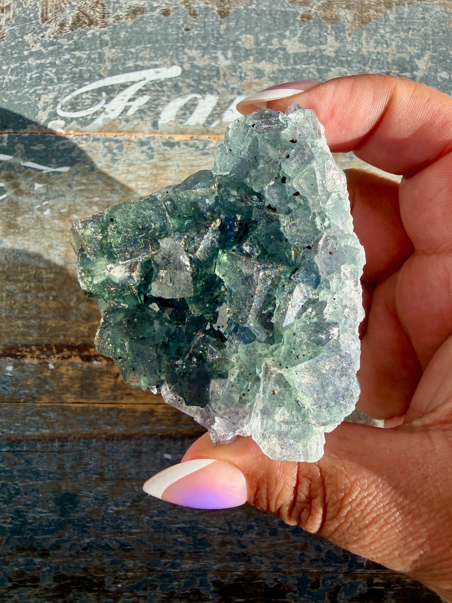 Gorgeous Cubic Dark Blue/Purple Fluorite Specimen coated in Pyrite | Opt 69
