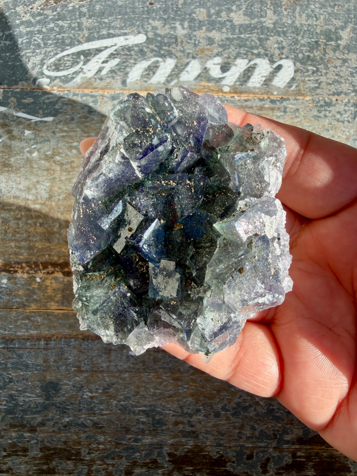 Gorgeous Cubic Dark Blue/Purple Fluorite Specimen coated in Pyrite | Opt 63