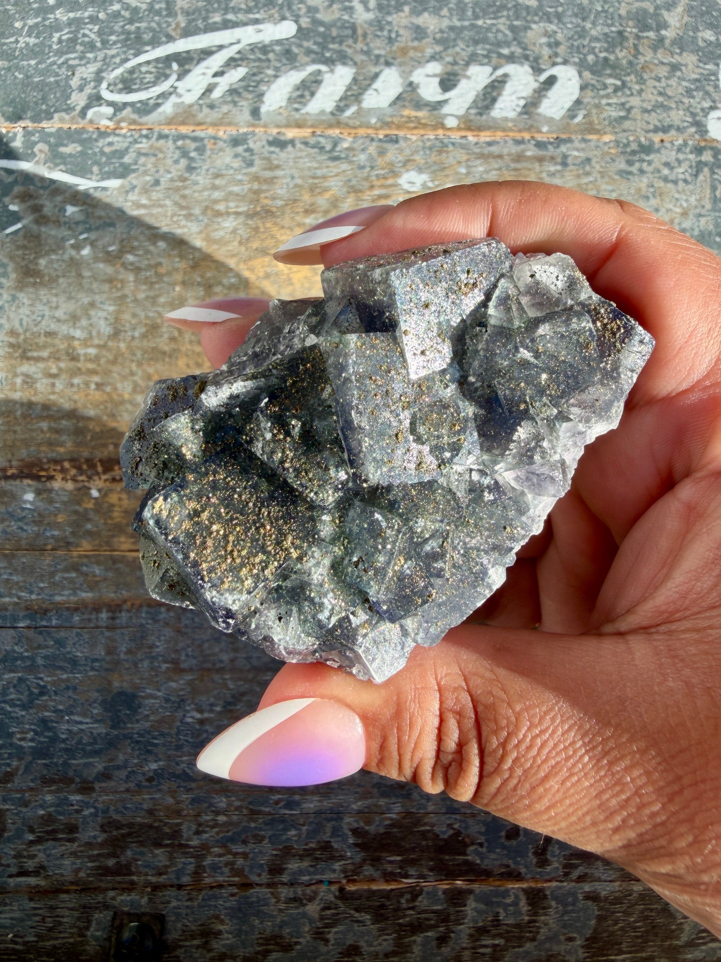 Gorgeous Cubic Dark Blue/Purple Fluorite Specimen coated in Pyrite | Opt 72