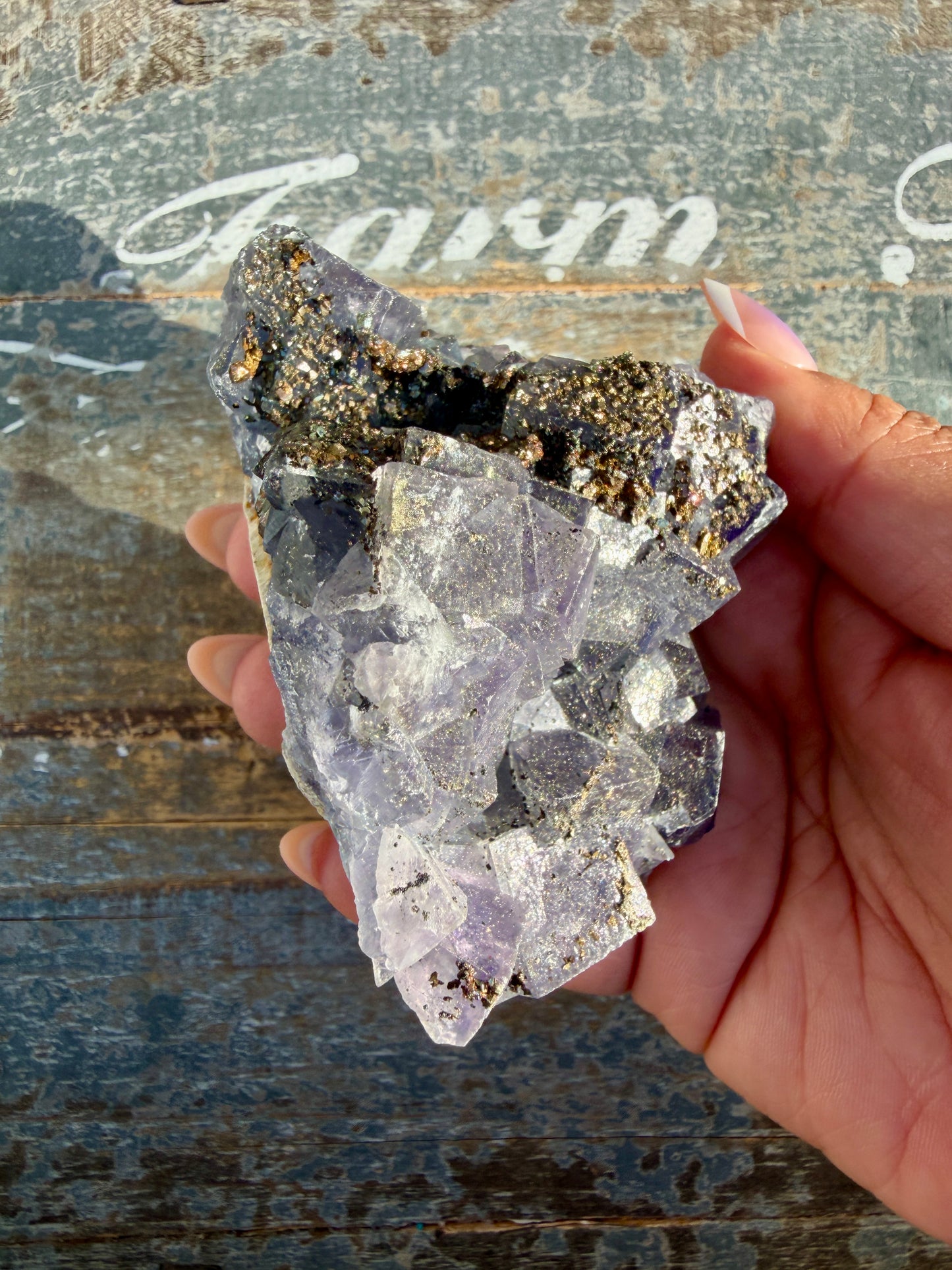 Gorgeous Cubic Dark Blue/Purple Fluorite Specimen coated in Pyrite | Opt 50