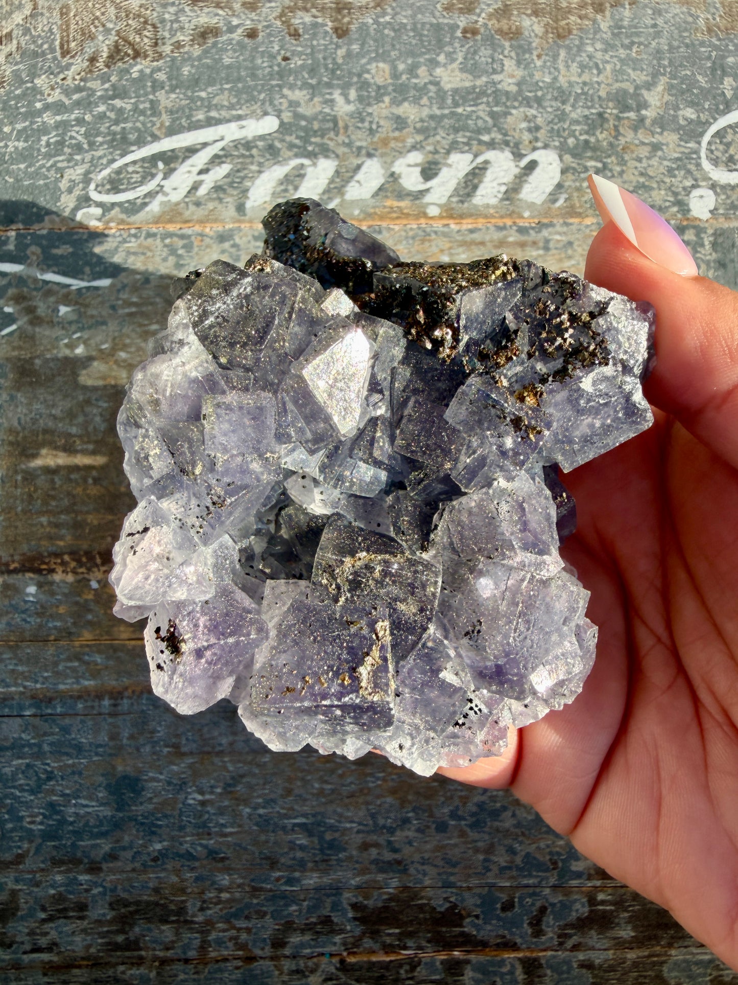Gorgeous Cubic Dark Blue/Purple Fluorite Specimen coated in Pyrite | Opt 50