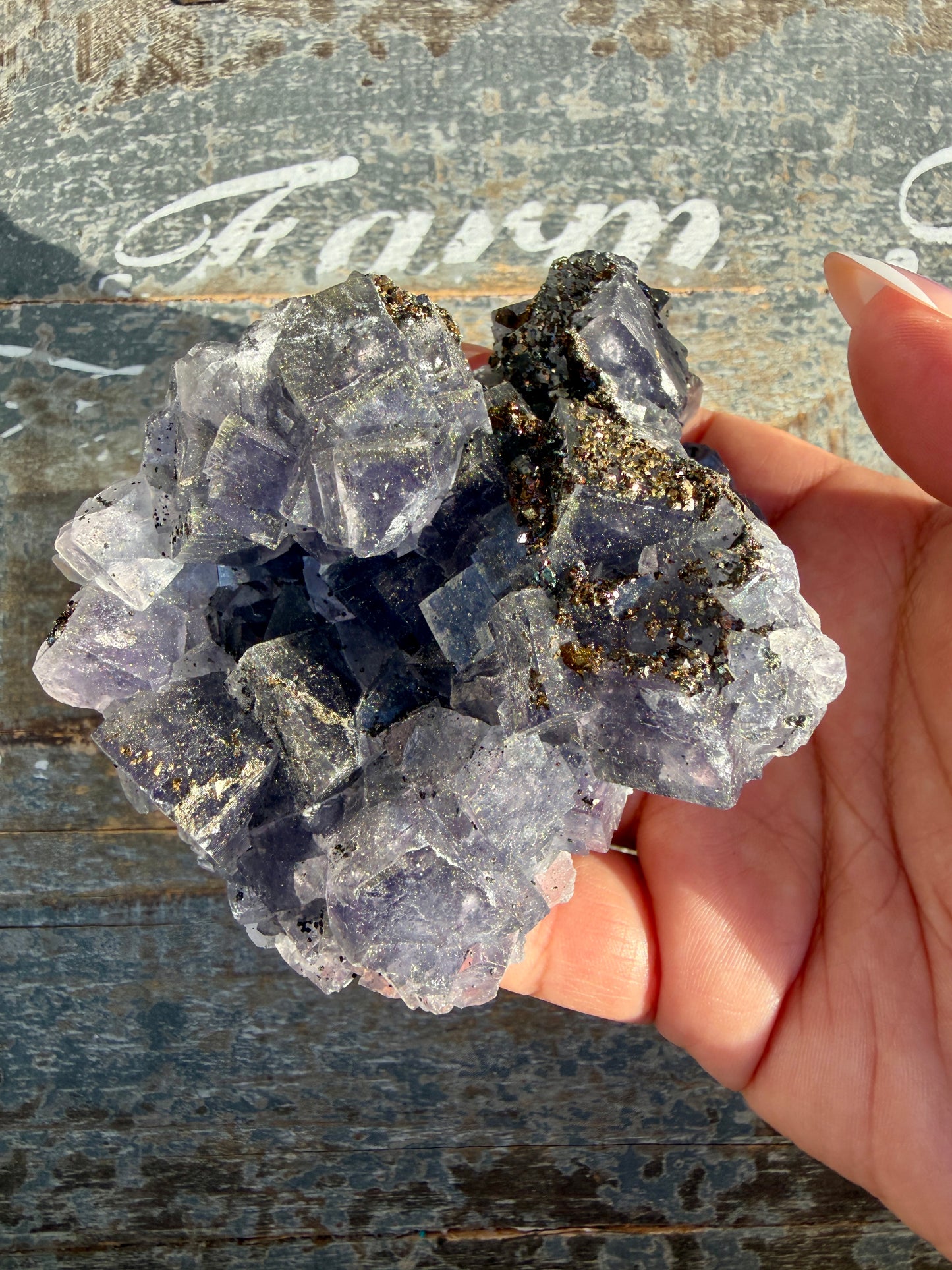 Gorgeous Cubic Dark Blue/Purple Fluorite Specimen coated in Pyrite | Opt 50