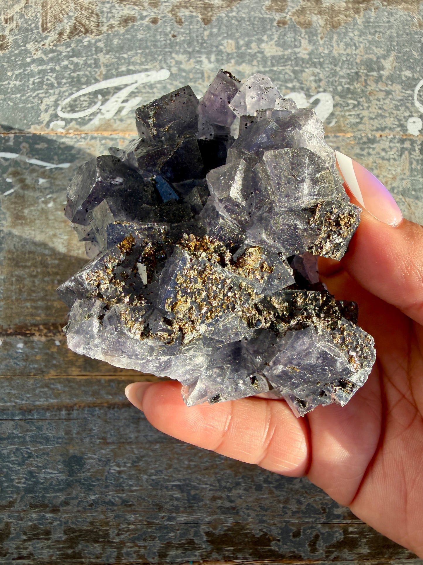Gorgeous Cubic Dark Blue/Purple Fluorite Specimen coated in Pyrite | Opt 50