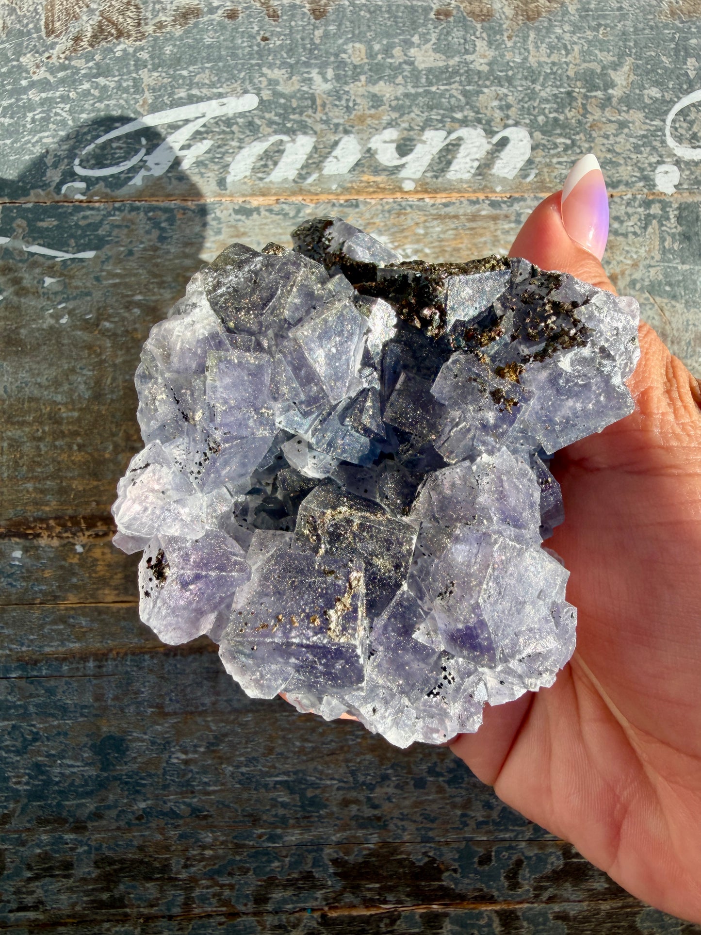 Gorgeous Cubic Dark Blue/Purple Fluorite Specimen coated in Pyrite | Opt 50