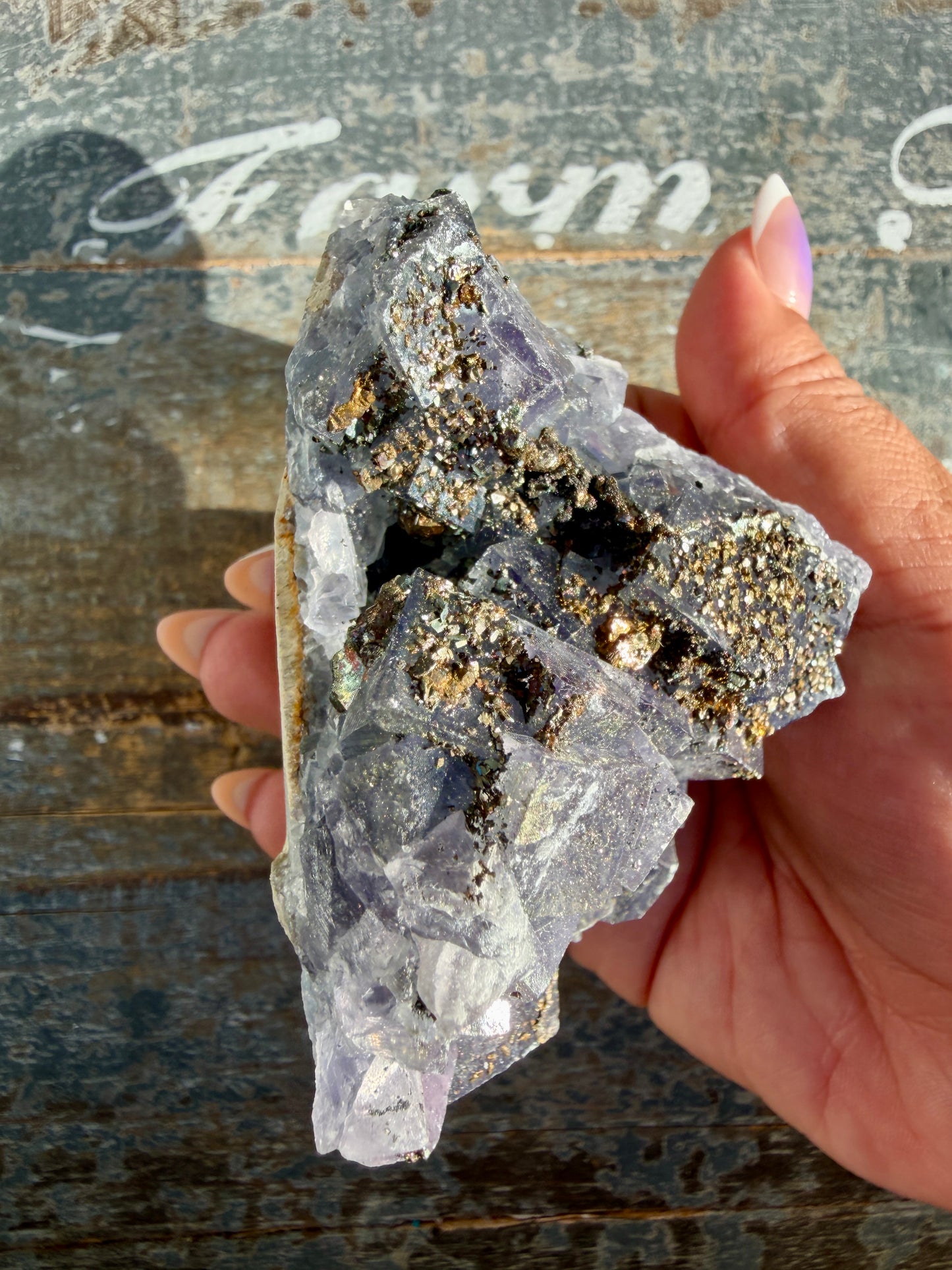 Gorgeous Cubic Dark Blue/Purple Fluorite Specimen coated in Pyrite | Opt 50