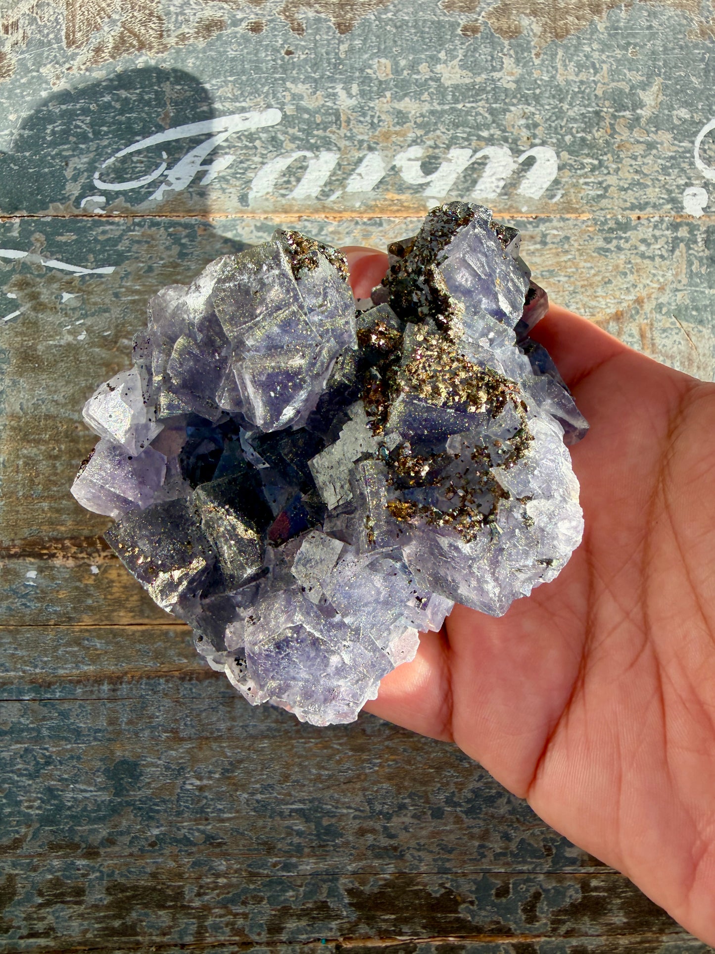 Gorgeous Cubic Dark Blue/Purple Fluorite Specimen coated in Pyrite | Opt 50