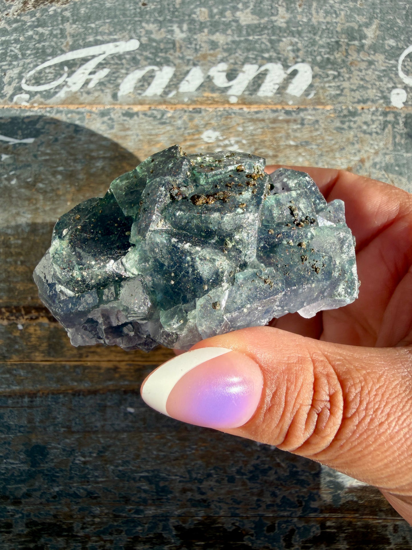 Gorgeous Cubic Dark Blue/Purple Fluorite Specimen coated in Pyrite | China | Opt 51