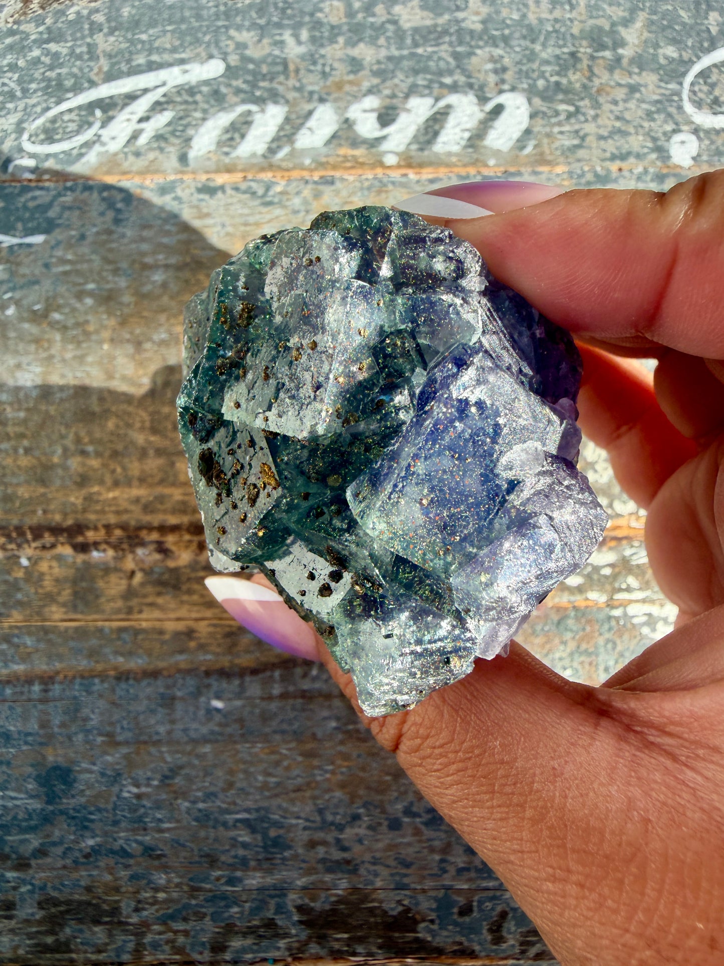 Gorgeous Cubic Dark Blue/Purple Fluorite Specimen coated in Pyrite | China | Opt 51